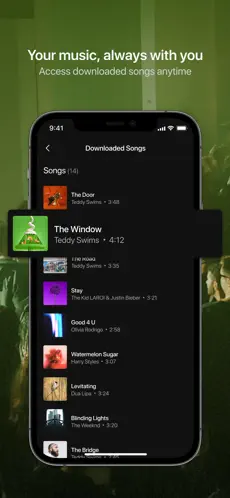 Music Coast app screen showing downloaded songs for offline listening.