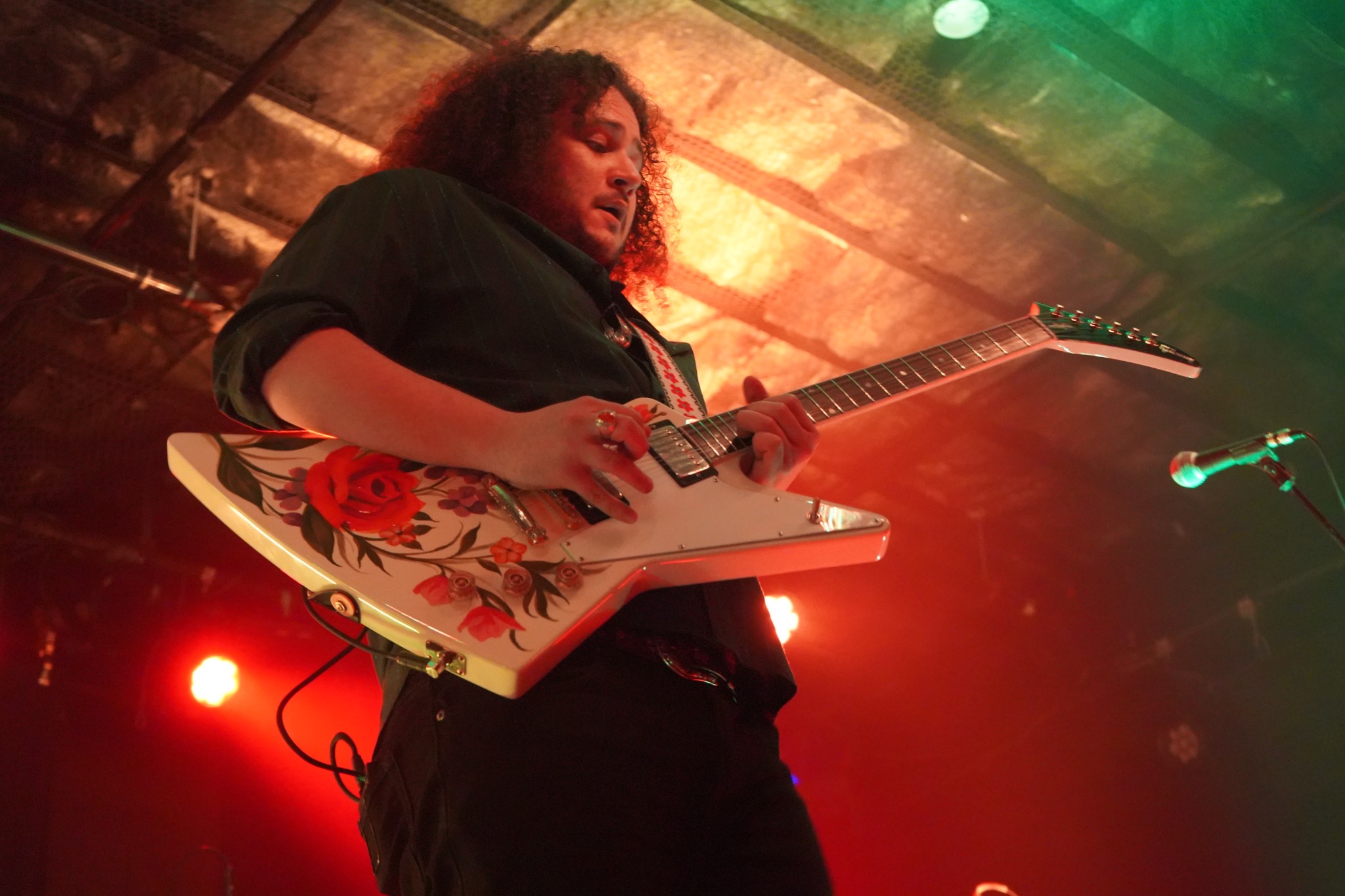 Album cover: King Falcon