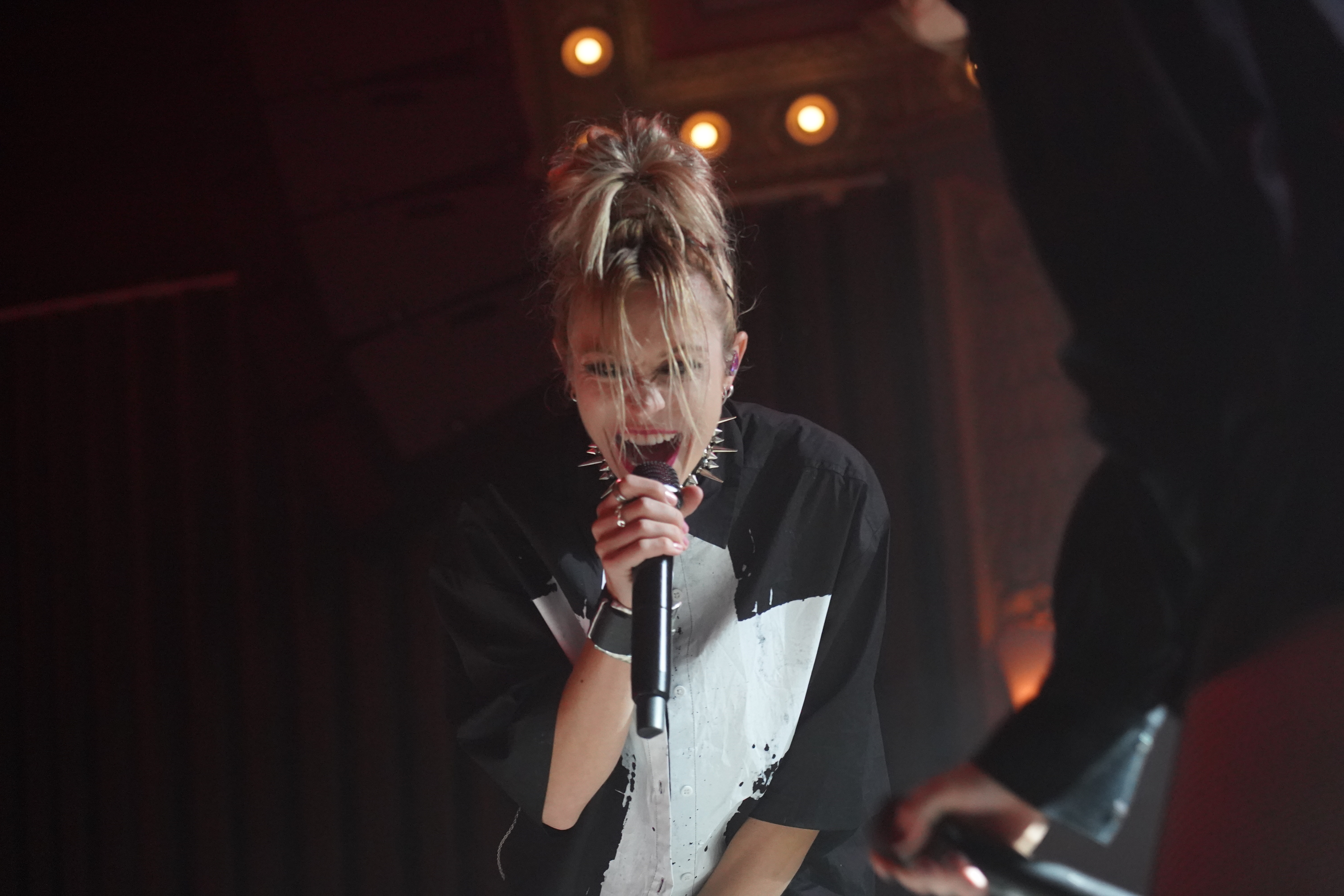 Album cover: The Pretty Wild