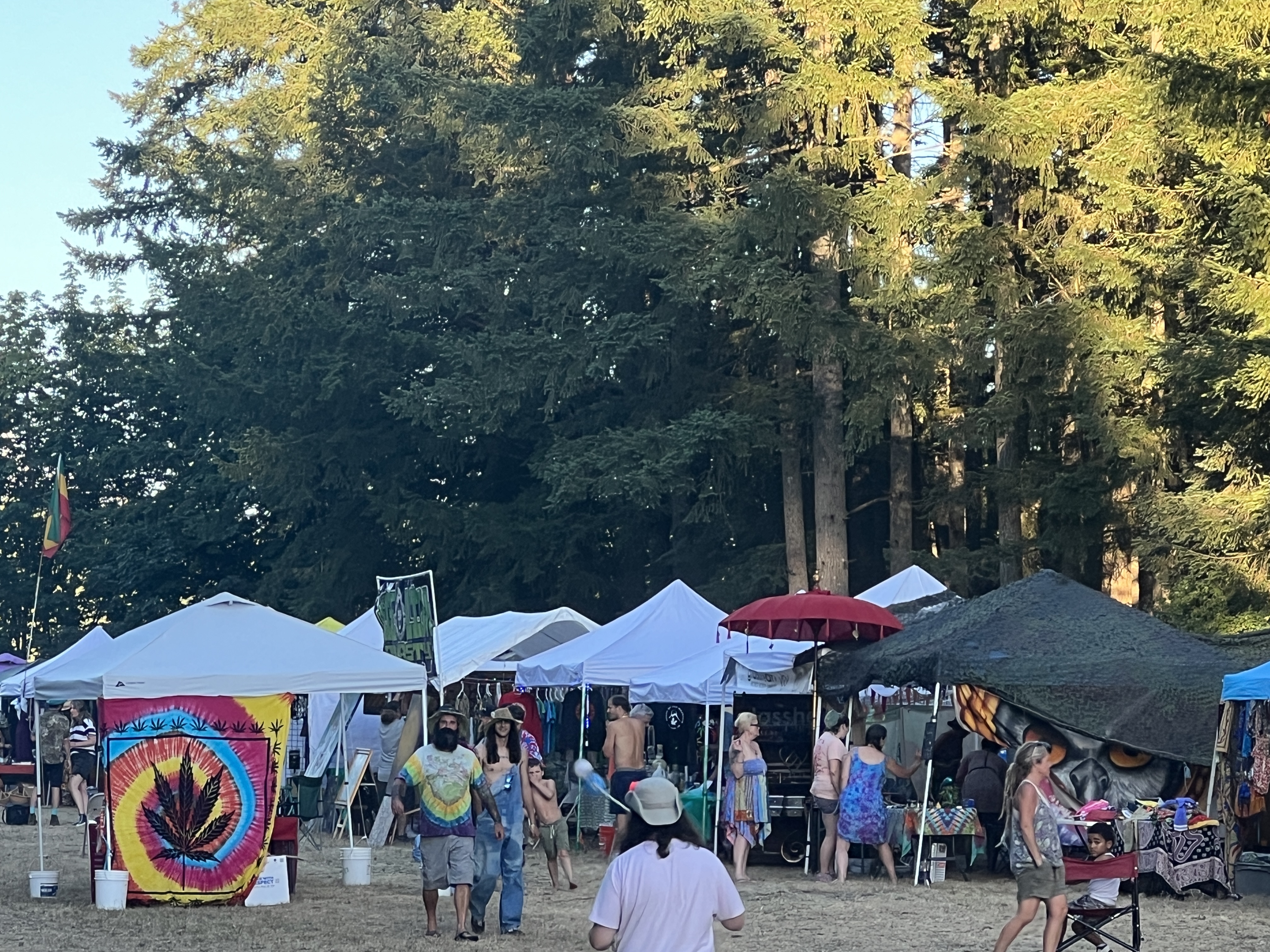 Festival — Northwest World Reggae Festival 2023