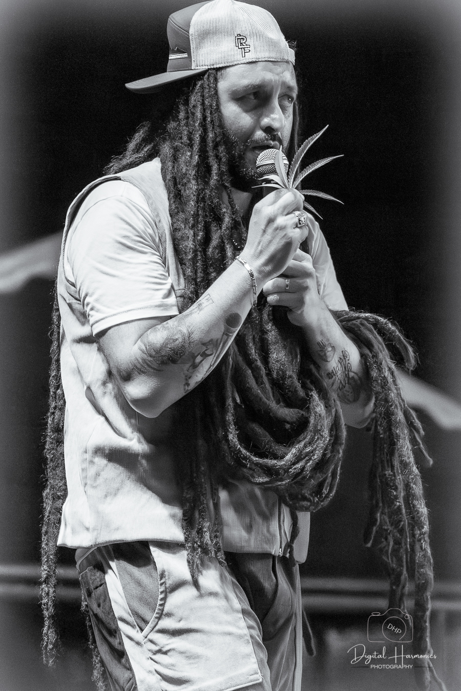 Alborosie photo