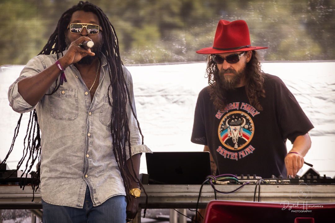 Jubba White x Blue Jay photo