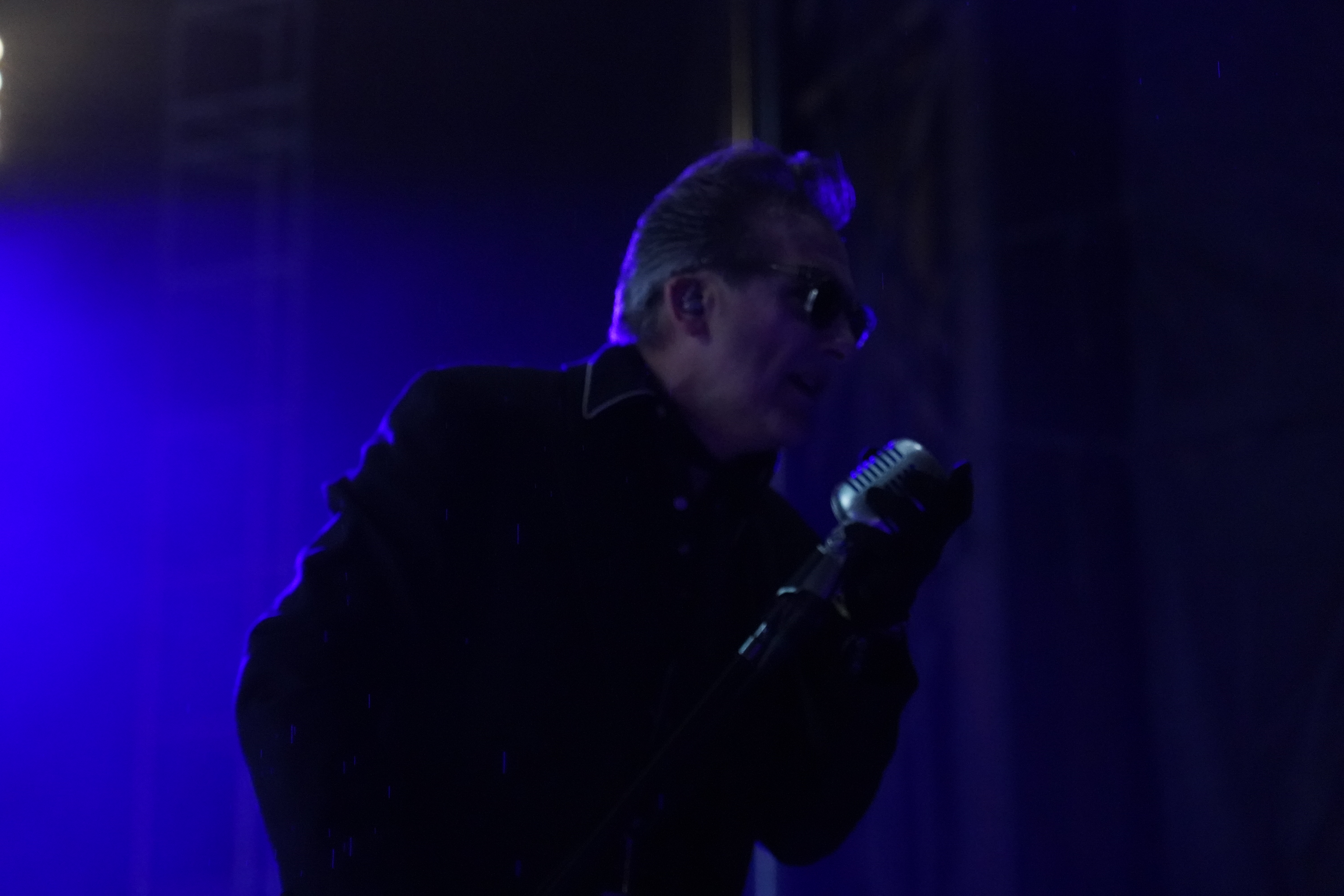 The Damned