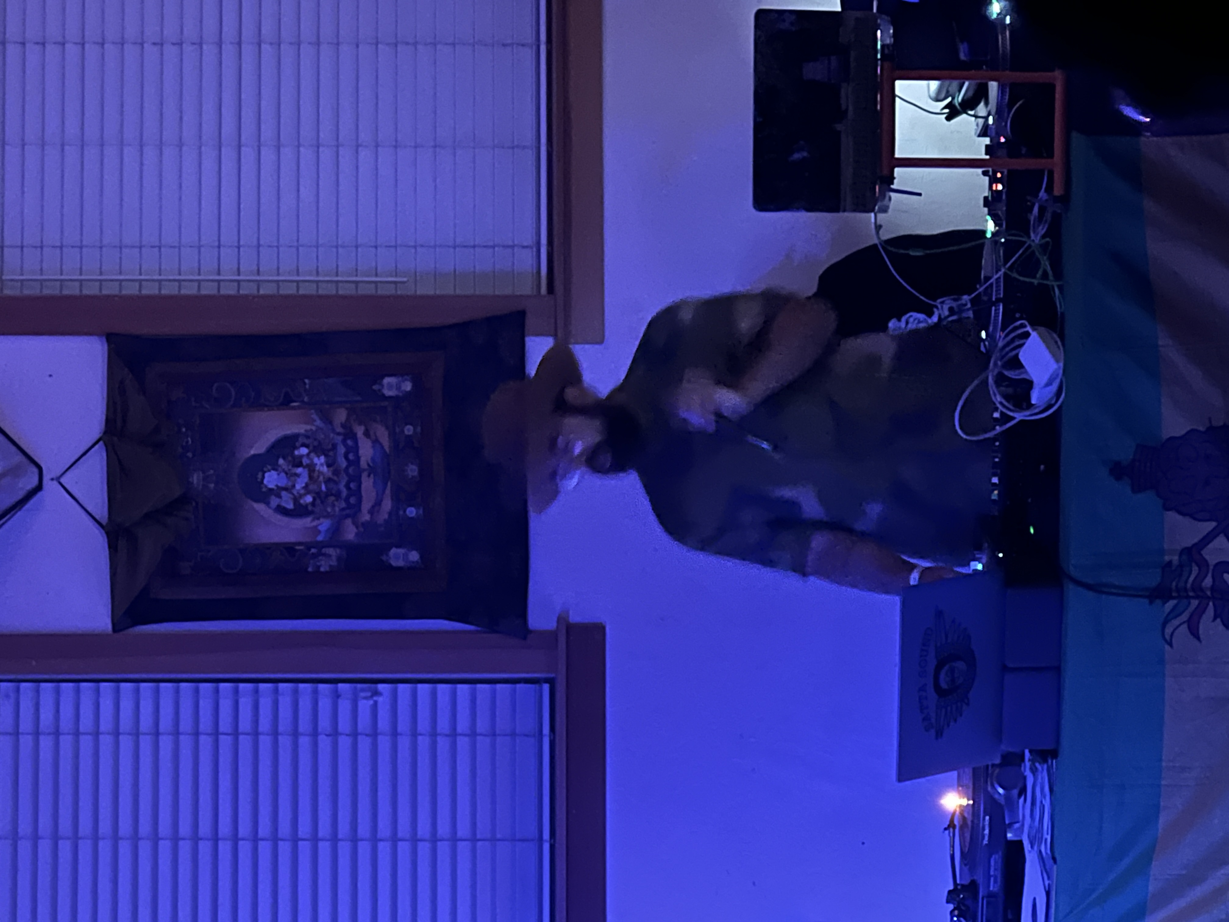 Satta Sound — Oregon Reggae Festival 2023
