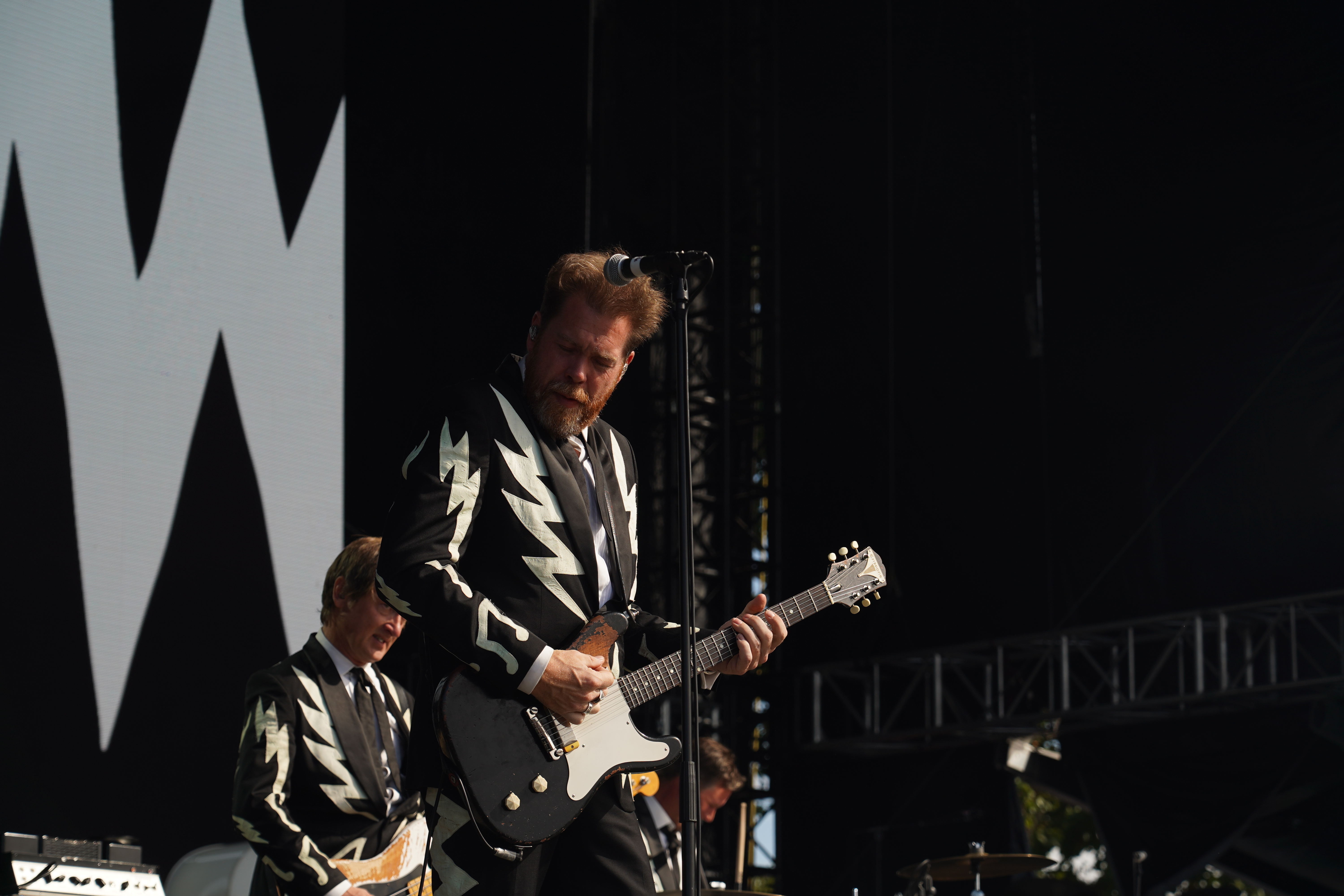 The Hives
