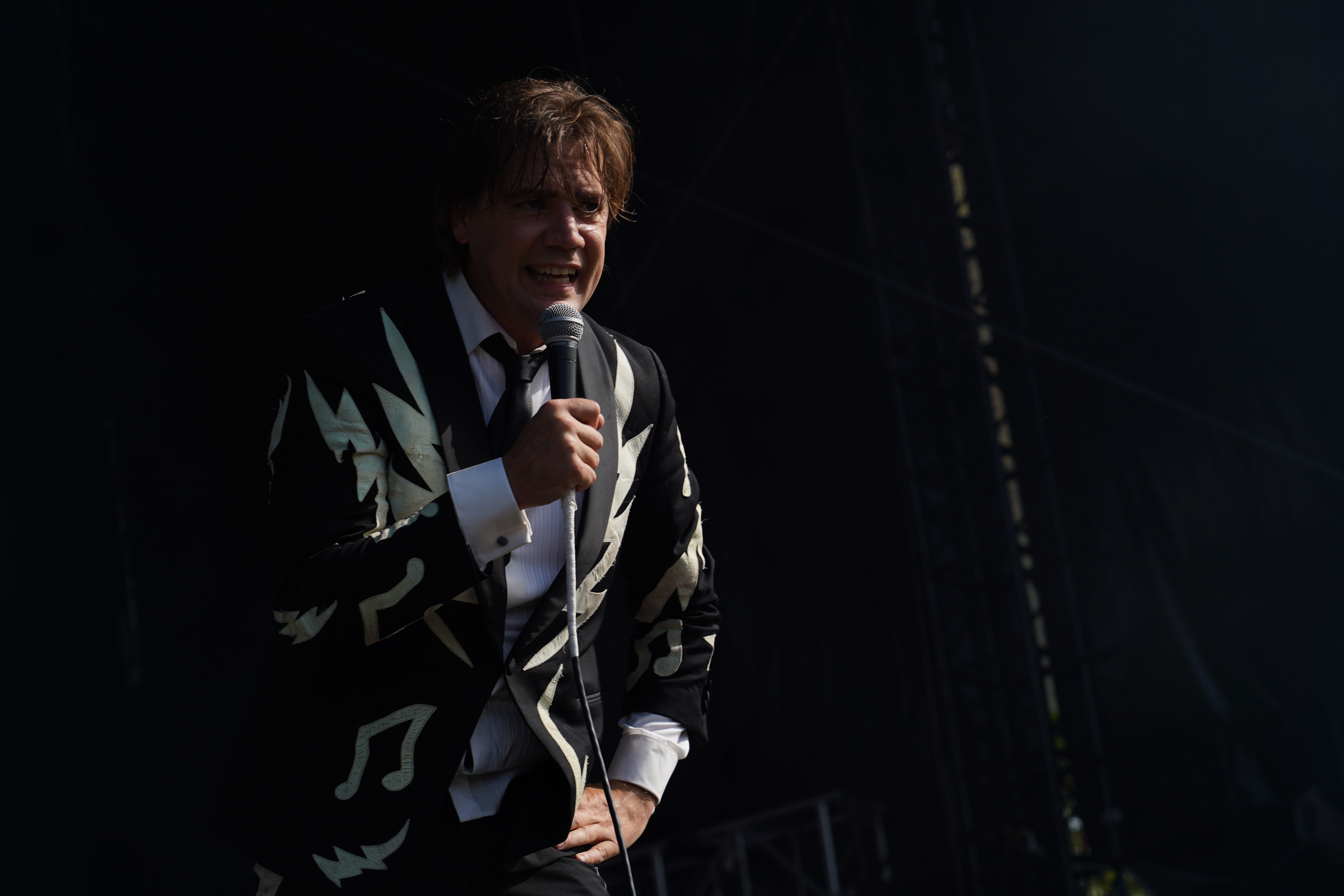 The Hives