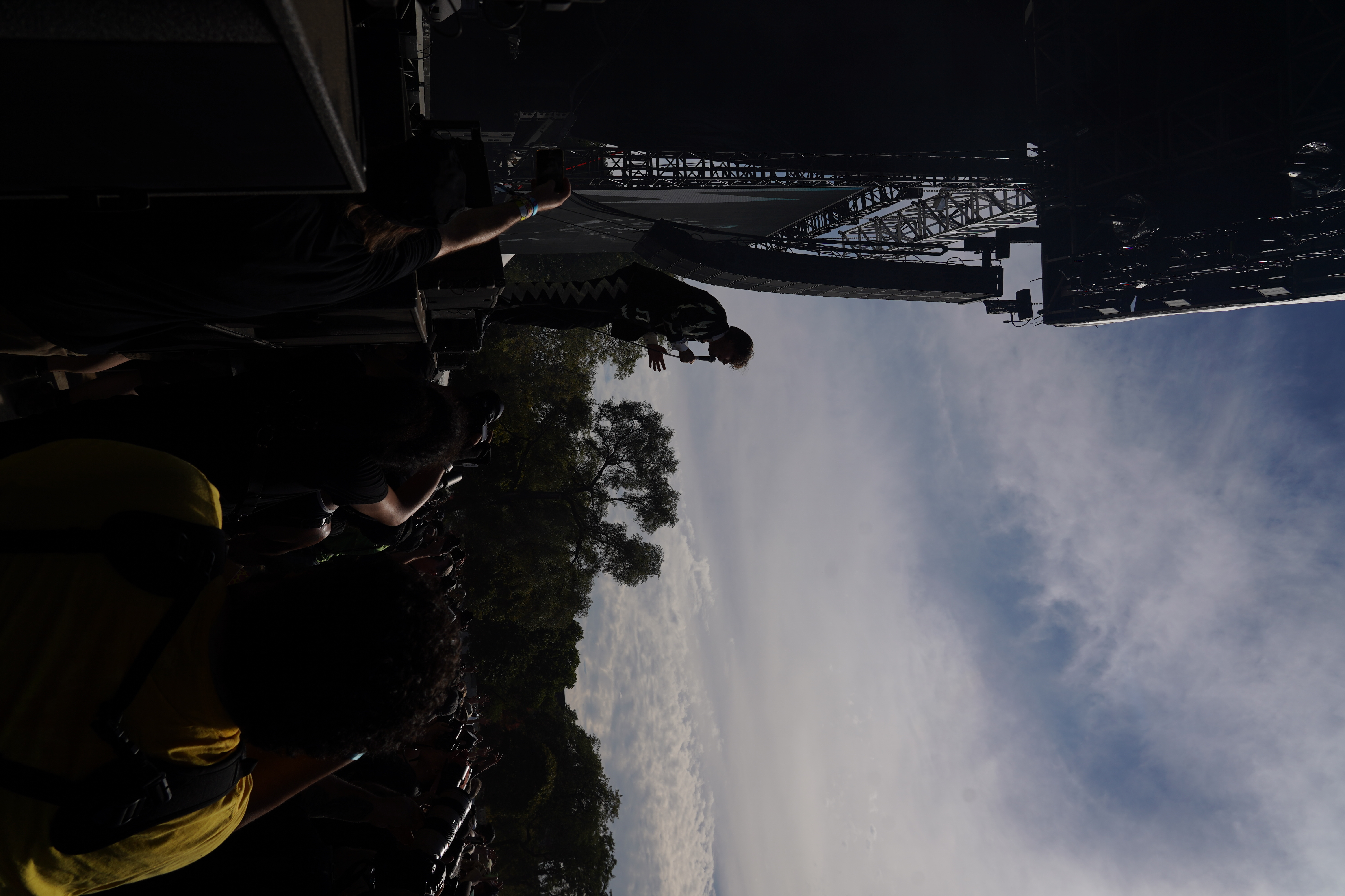 The Hives