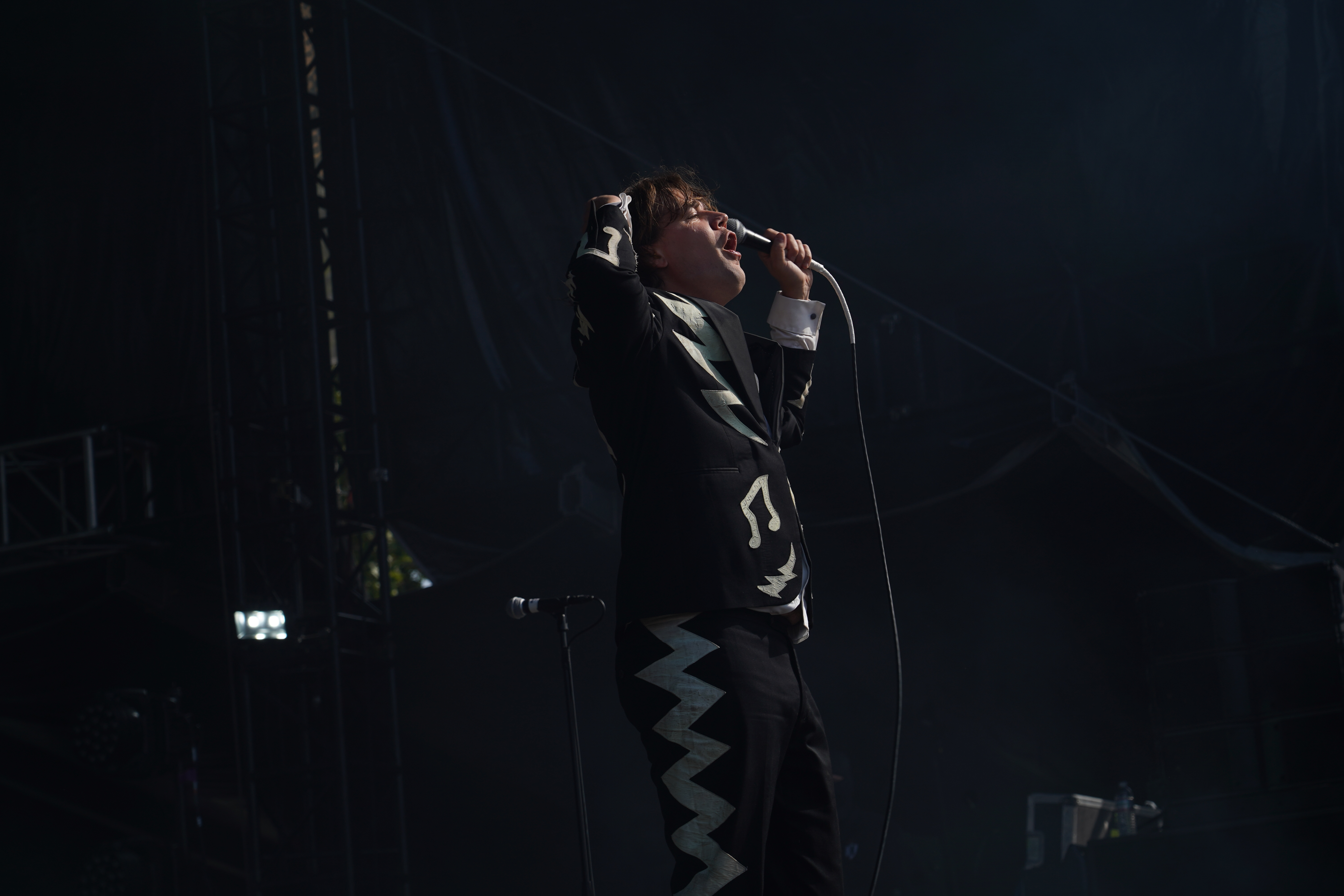 The Hives