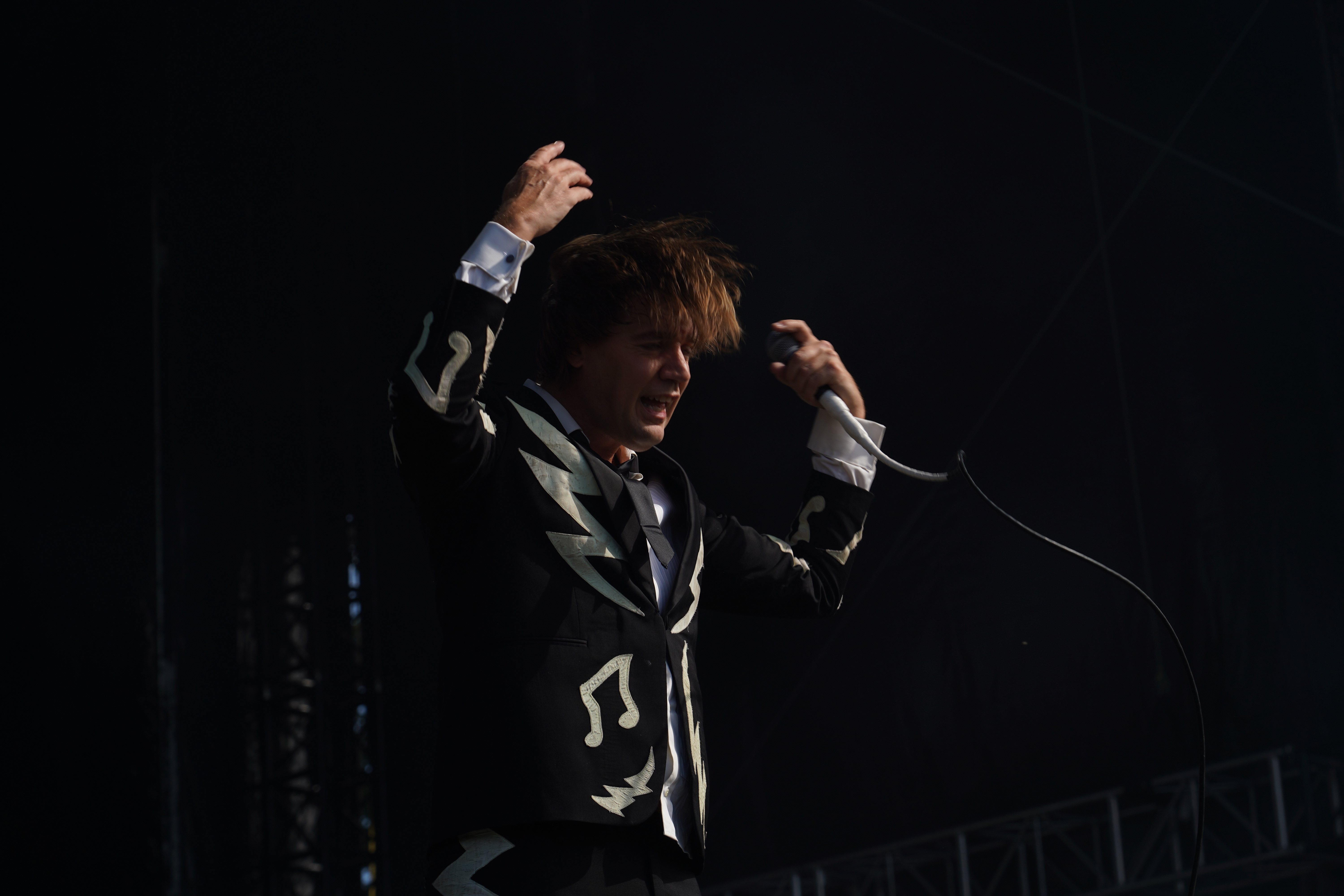The Hives photo