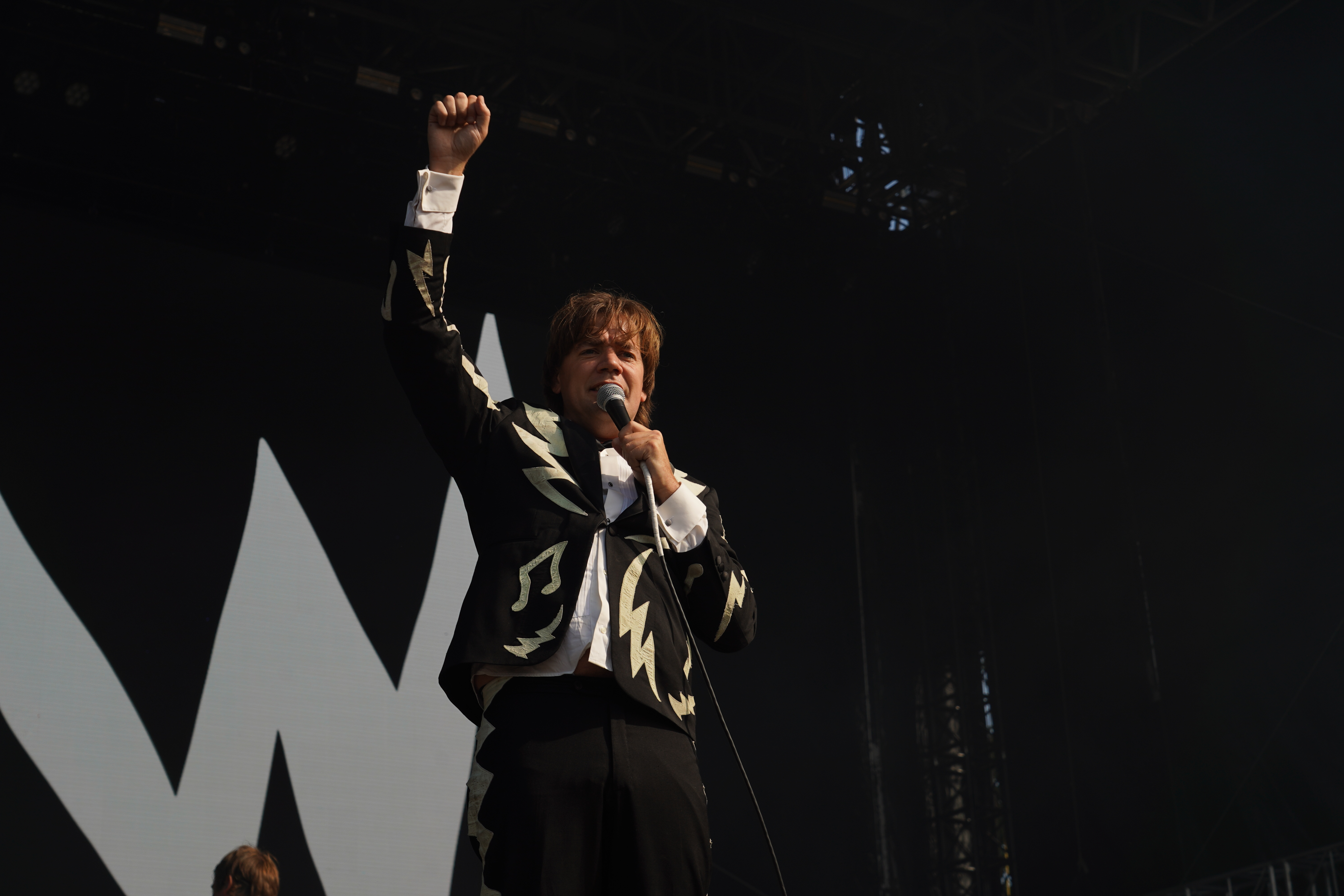 The Hives