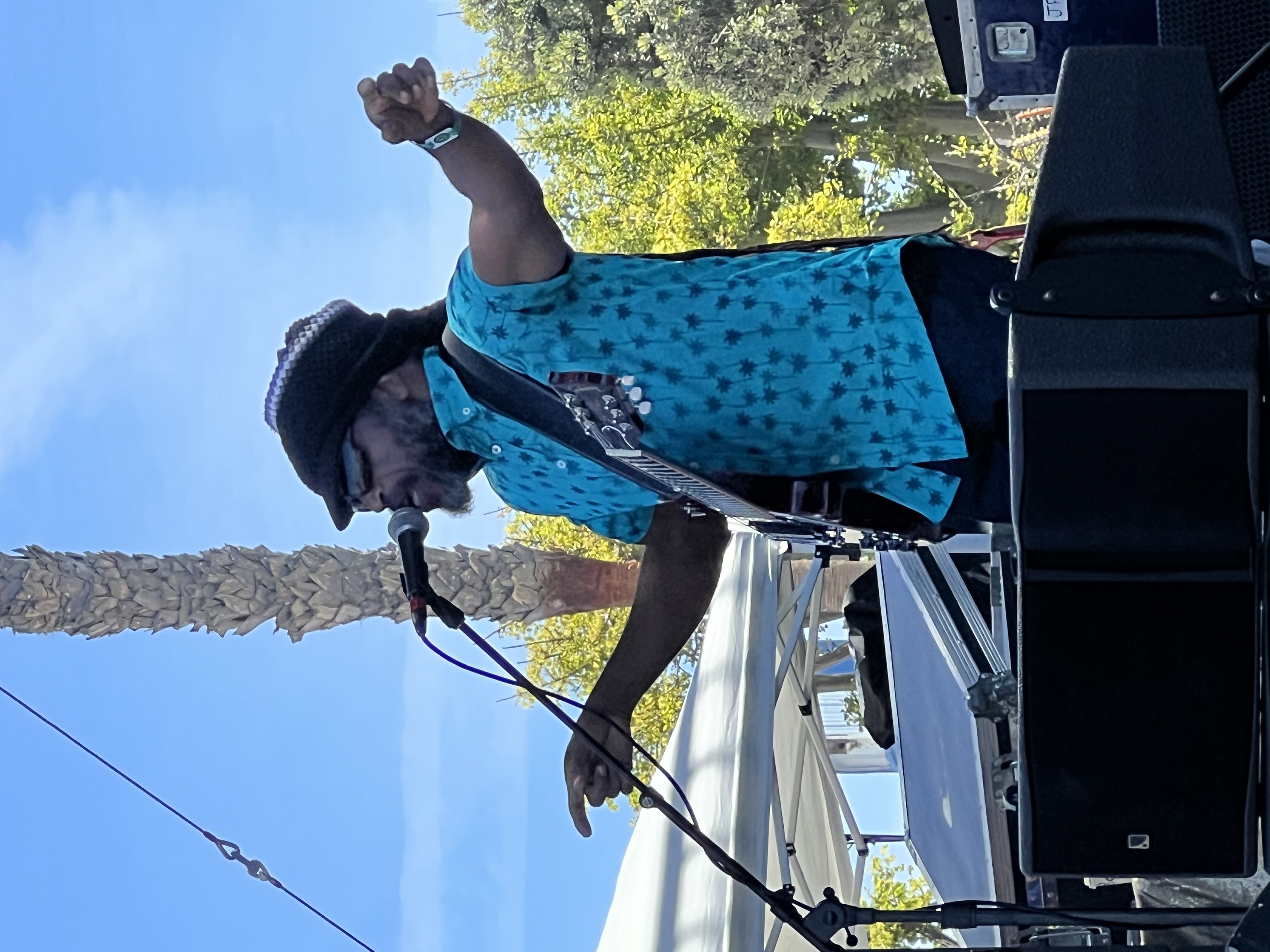 The Wailers