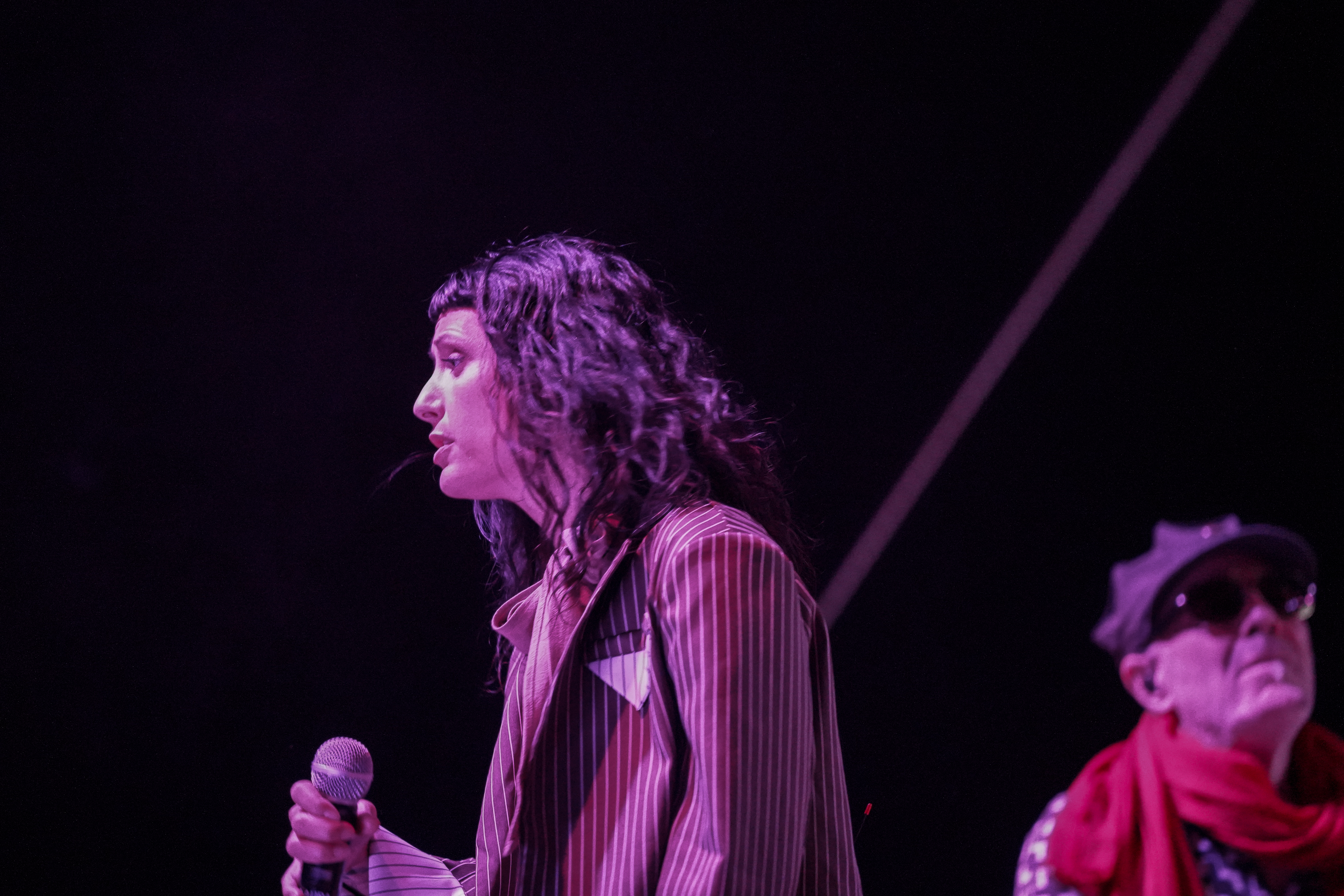 Thievery Corporation — Rise & Vibes Festival 2026 — Tico Time River Resort