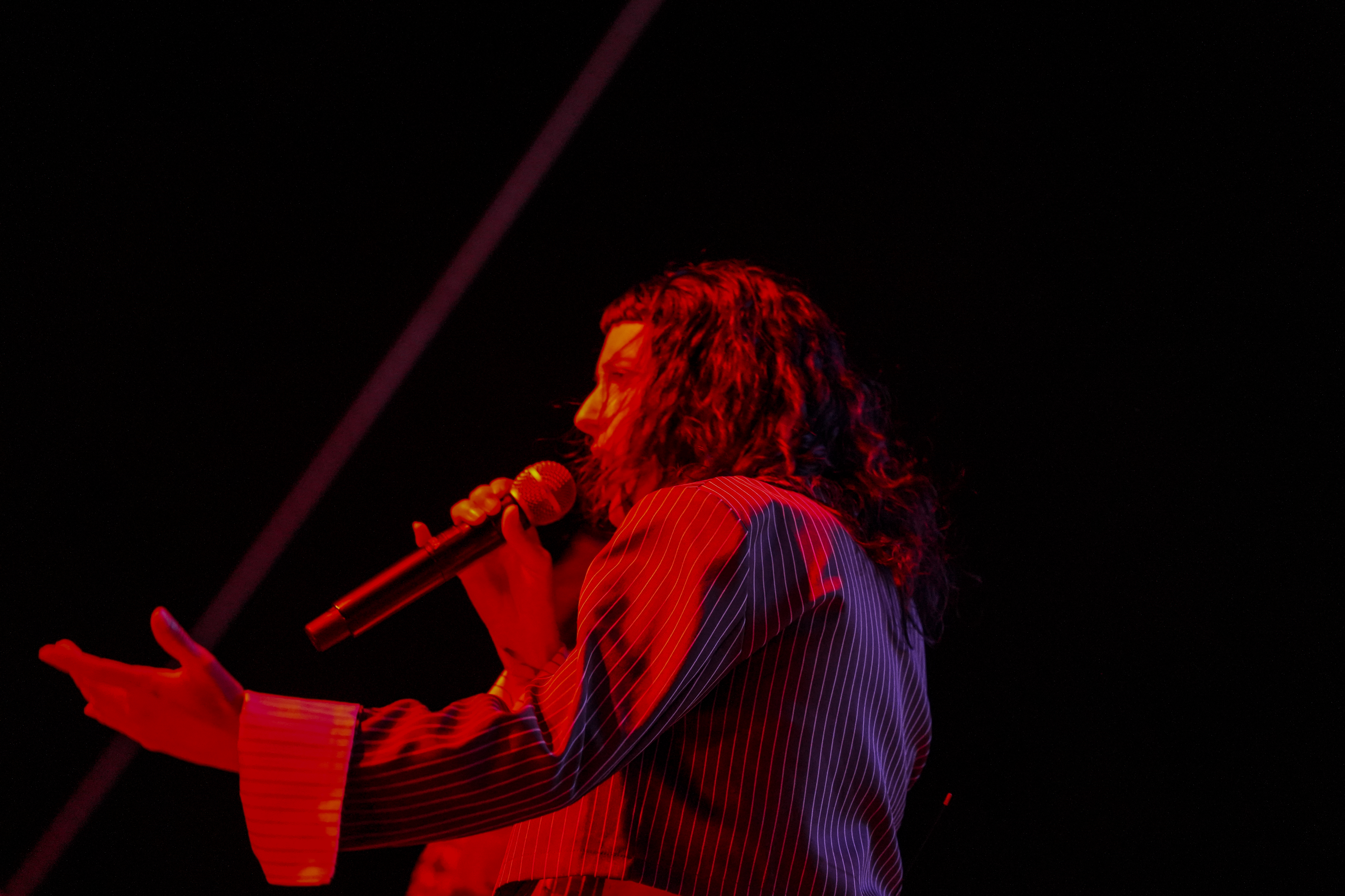 Thievery Corporation — Rise & Vibes Festival 2026 — Tico Time River Resort