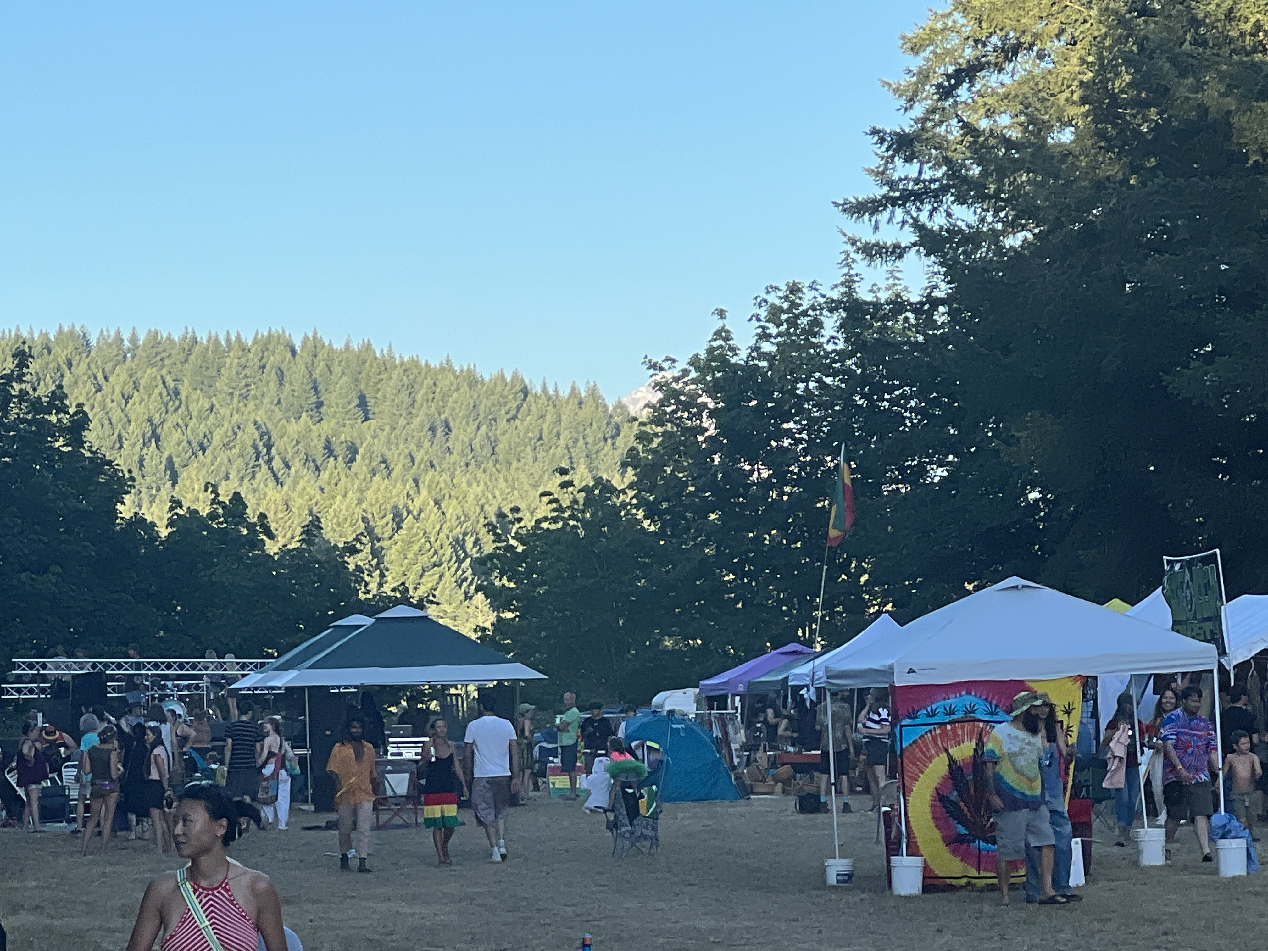 Festival — Northwest World Reggae Festival 2023