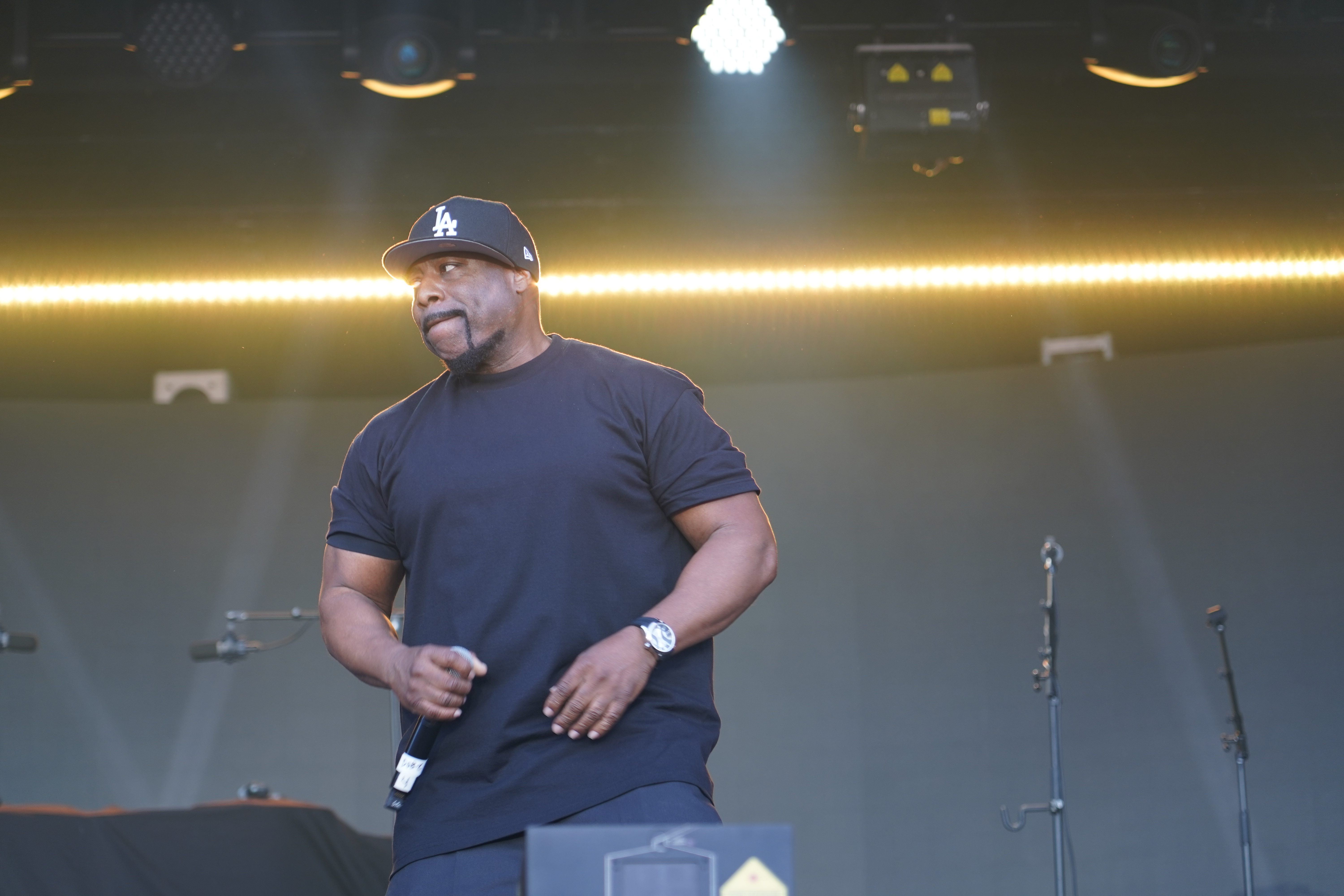 Ice Cube — California Roots Music & Arts Festival 2024