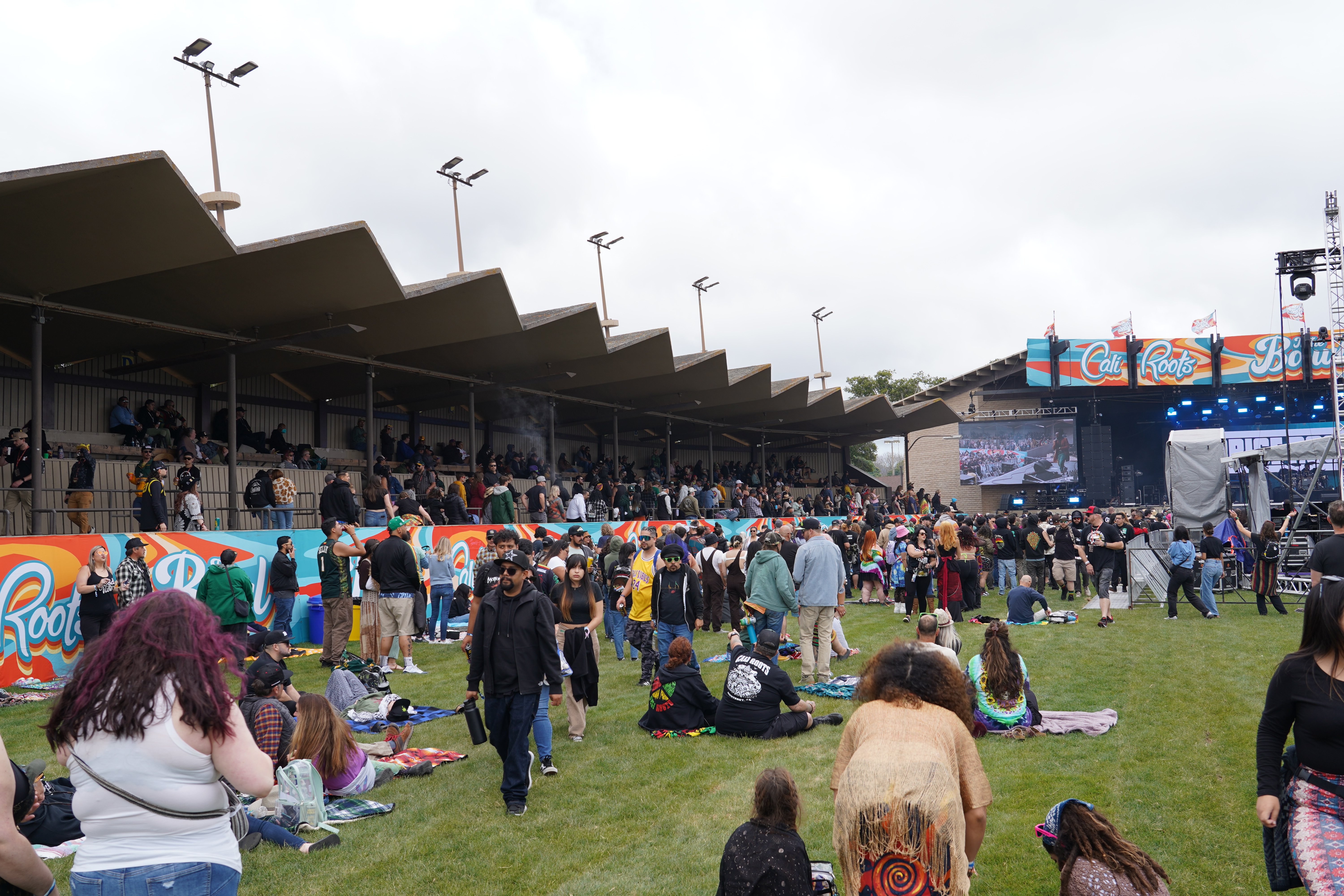 Festival — California Roots Music & Arts Festival 2024