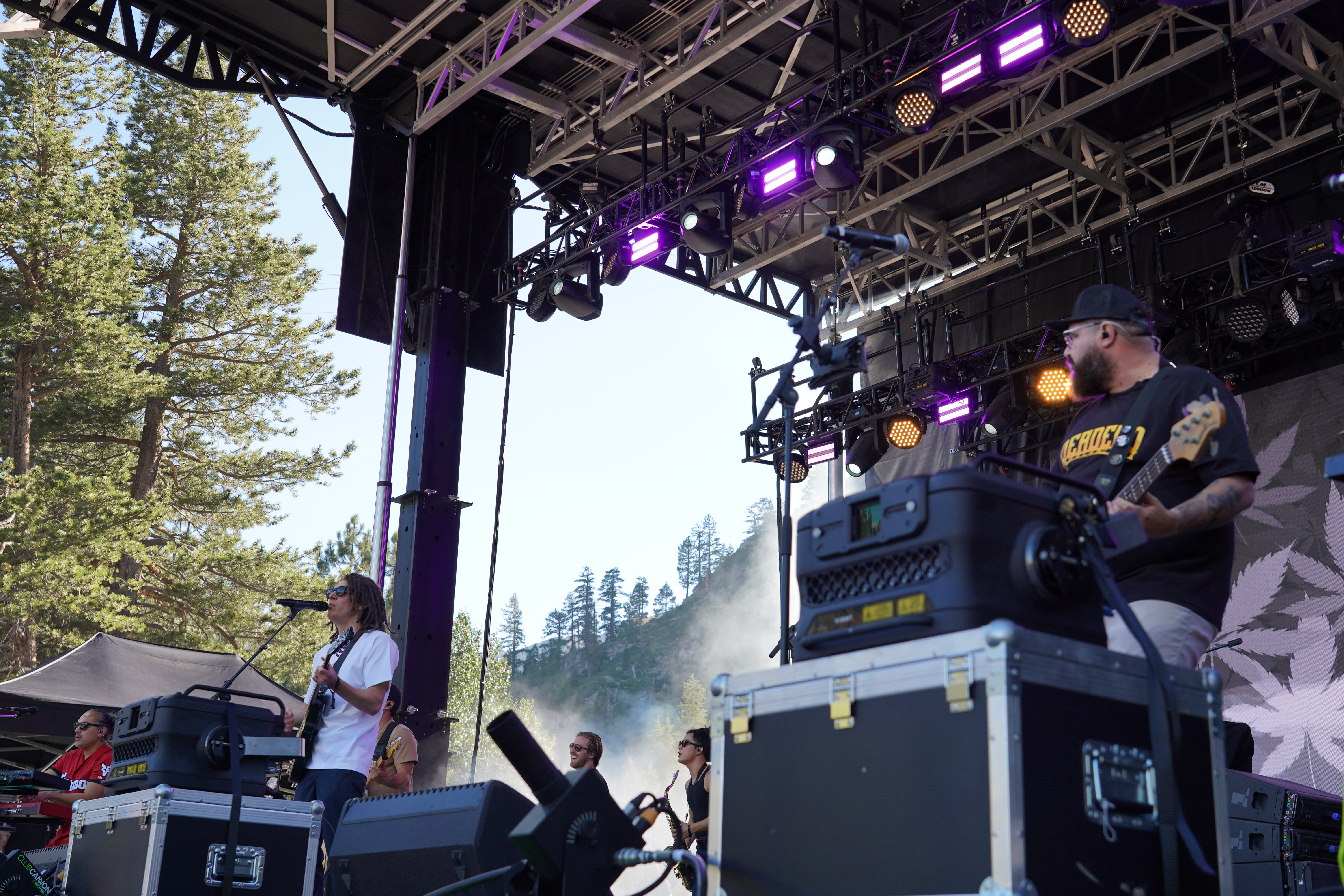 Tribal Seeds
