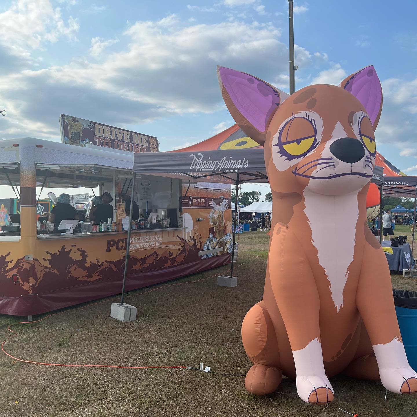 Festival — Florida Groves 2023