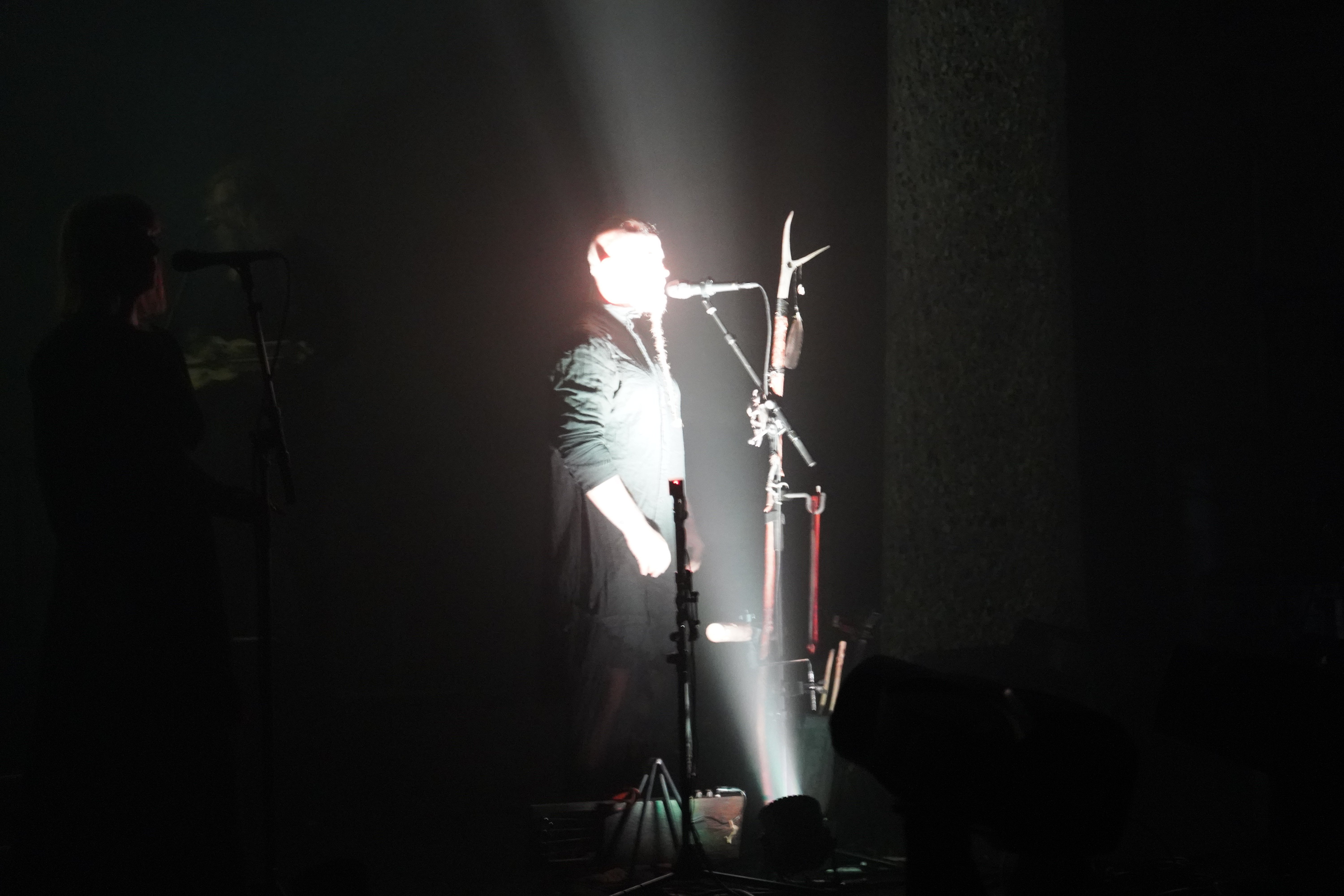 Wardruna — Wardruna
