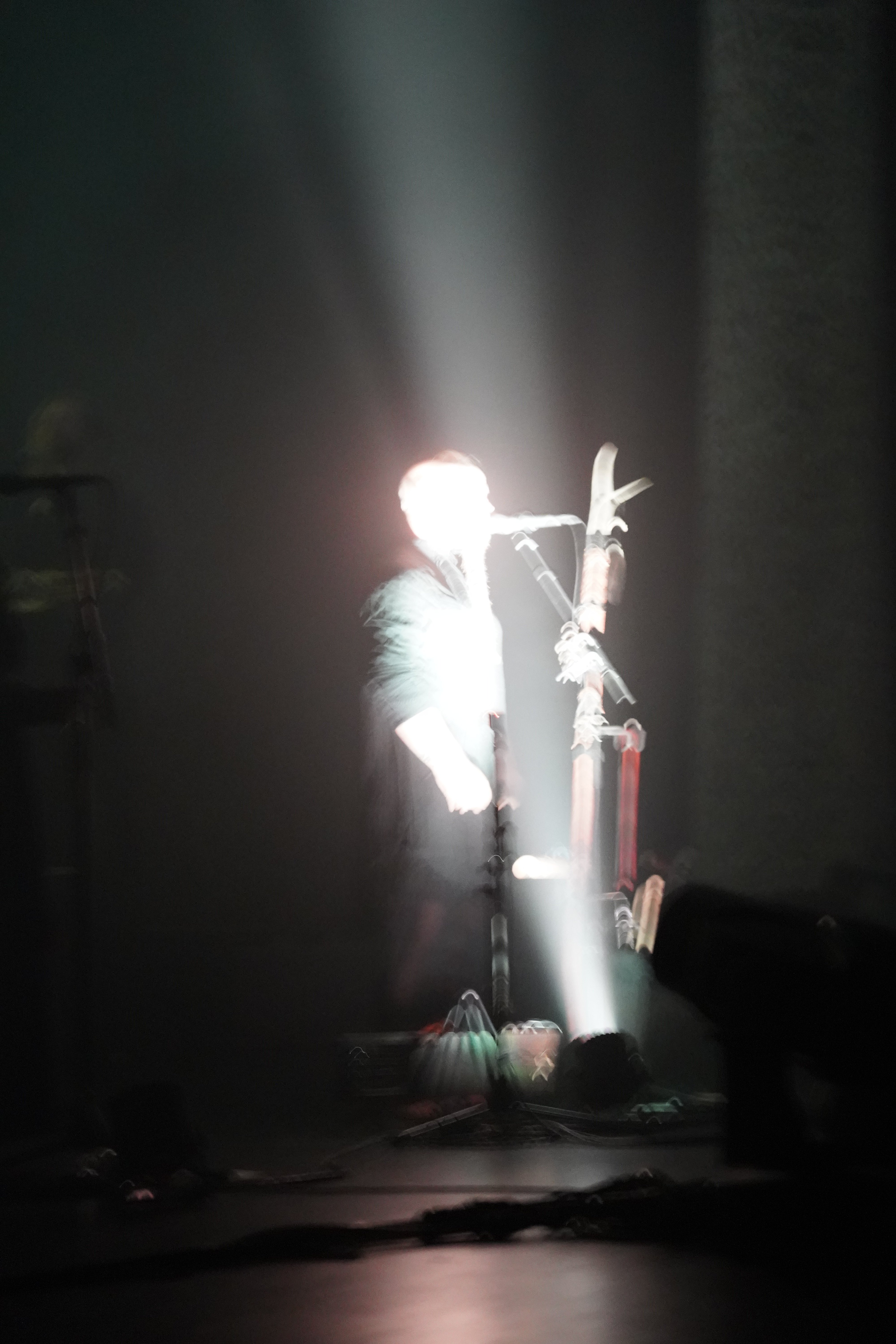 Wardruna — Wardruna