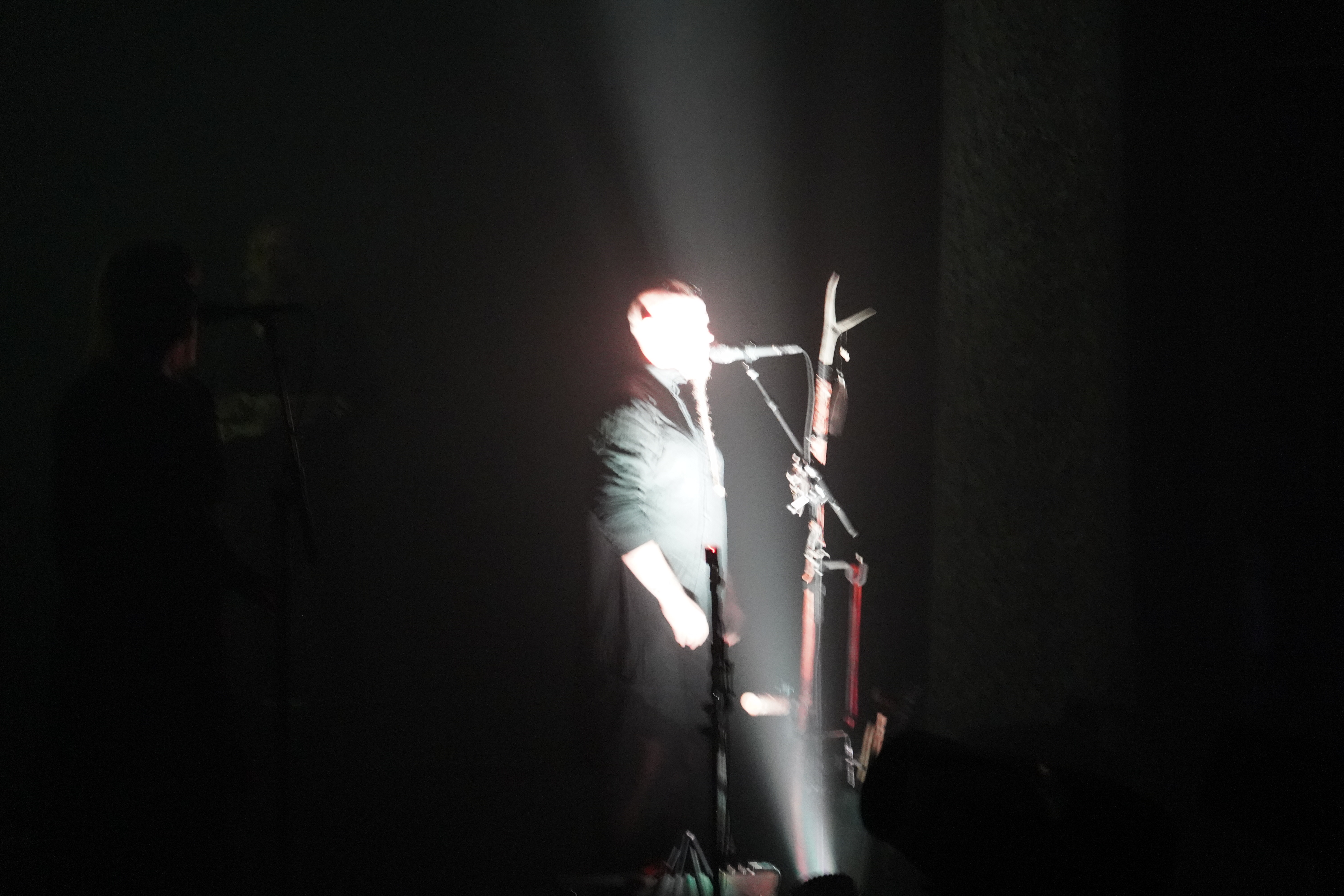Wardruna — Wardruna