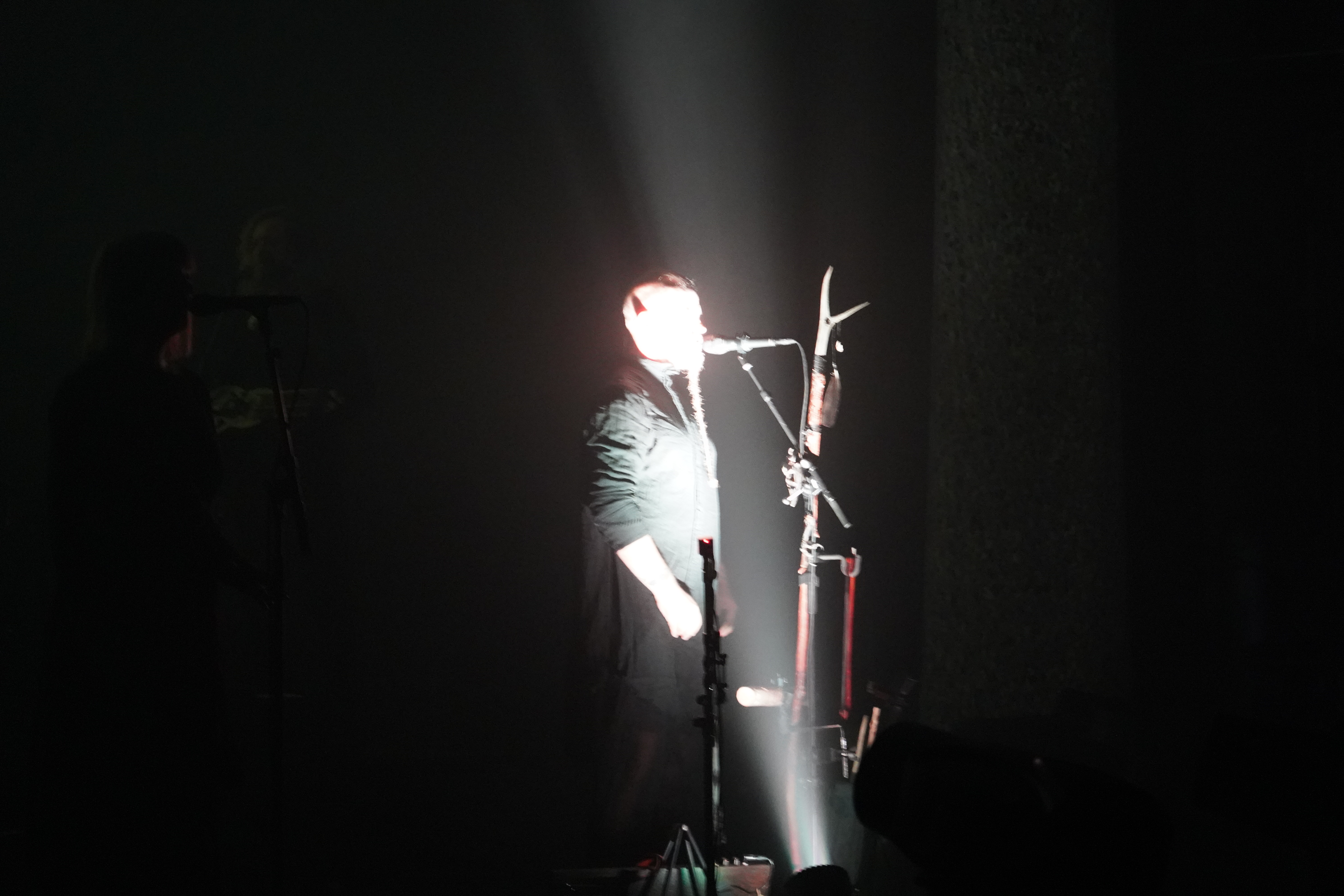 Wardruna — Wardruna
