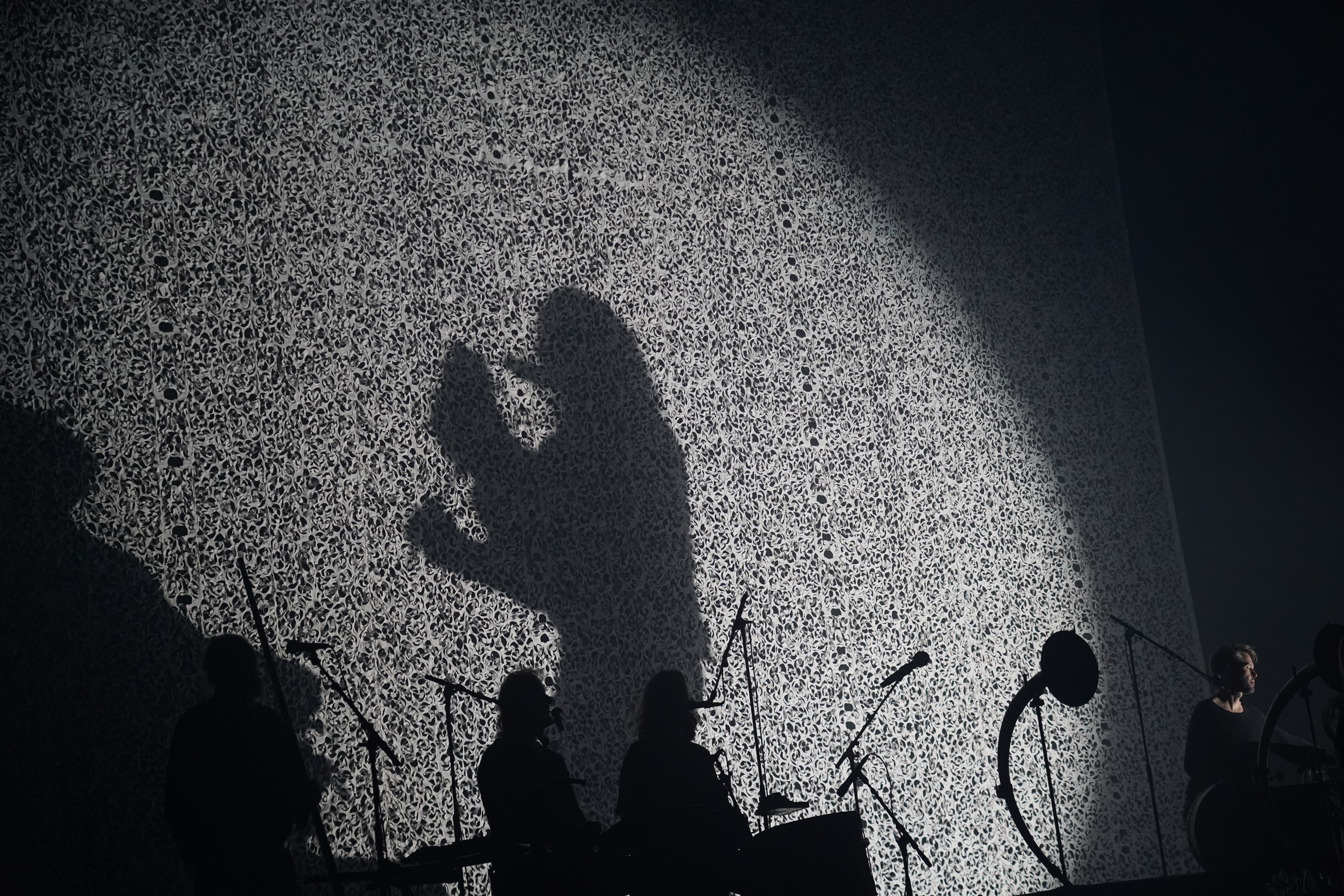 Wardruna — Wardruna