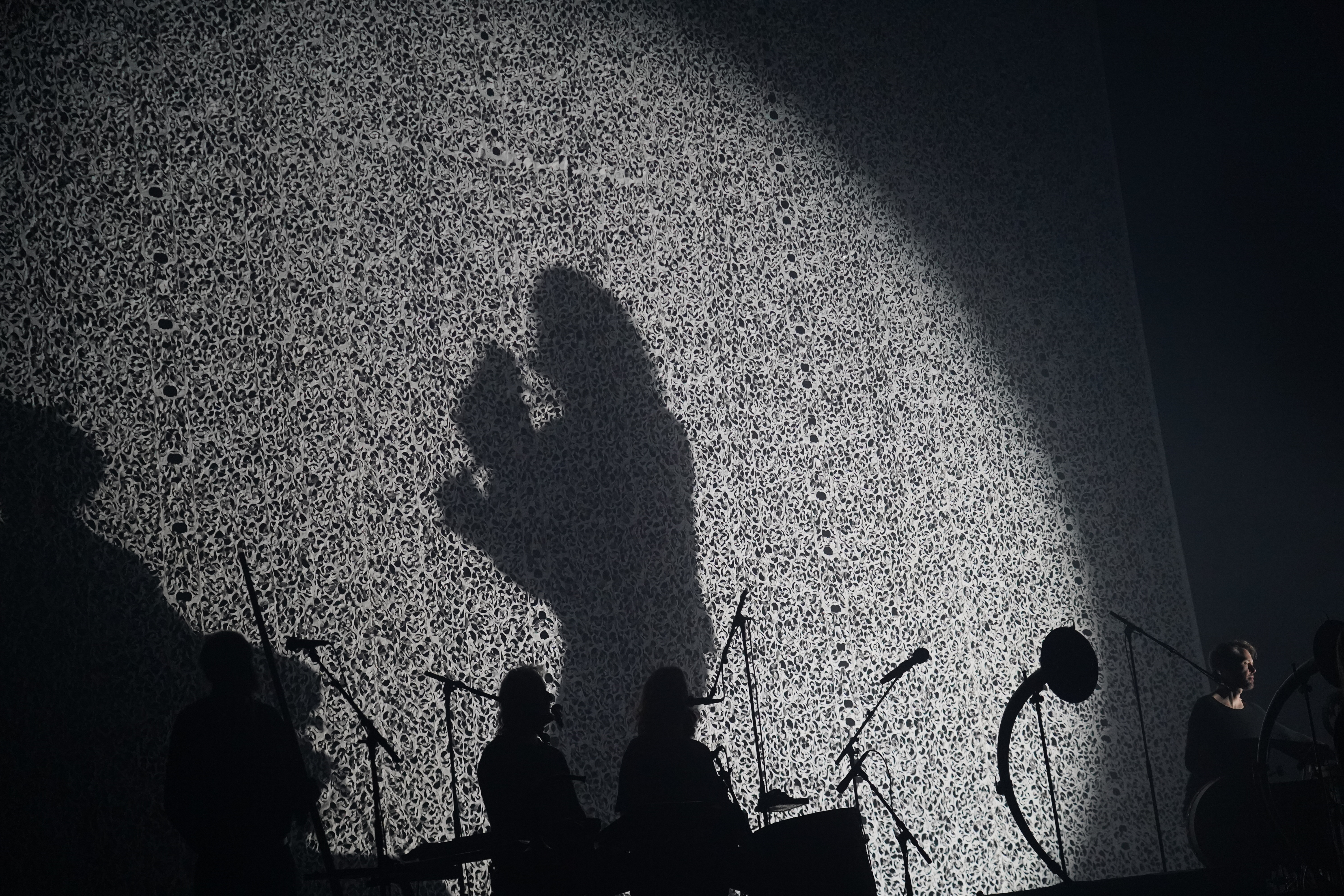 Wardruna — Wardruna