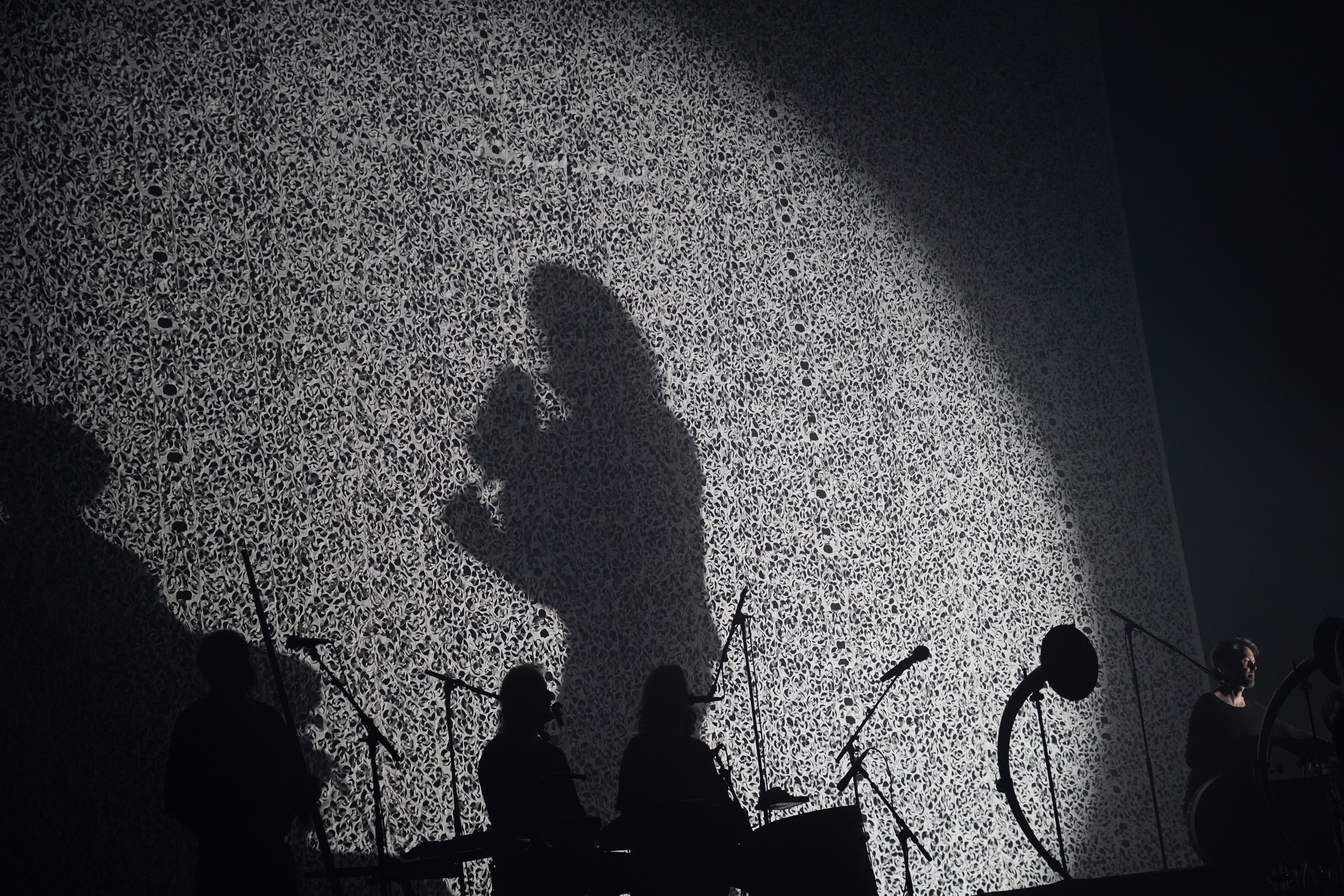 Wardruna — Wardruna