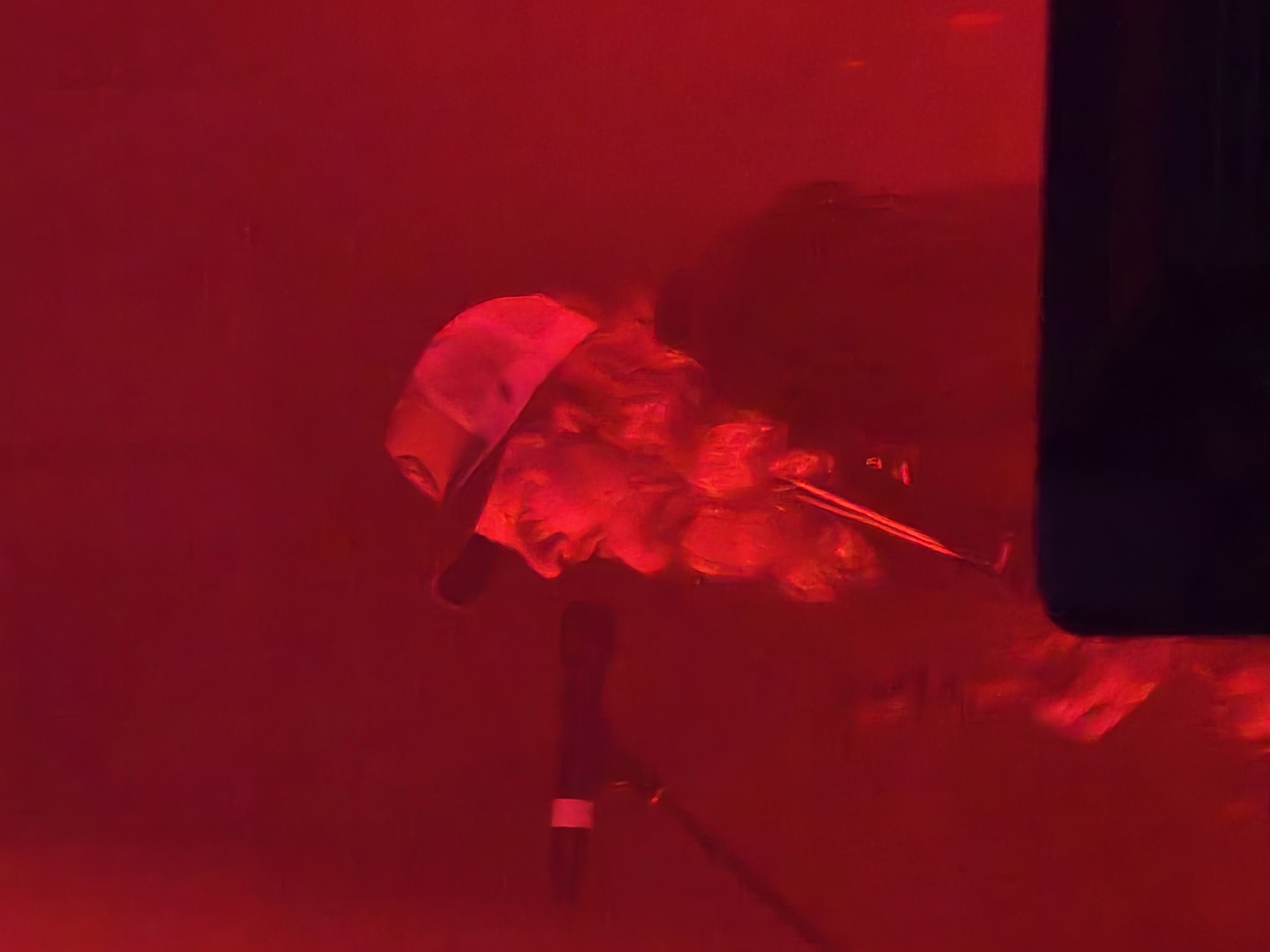 Dirty Heads — California Roots Music & Arts Festival 2025