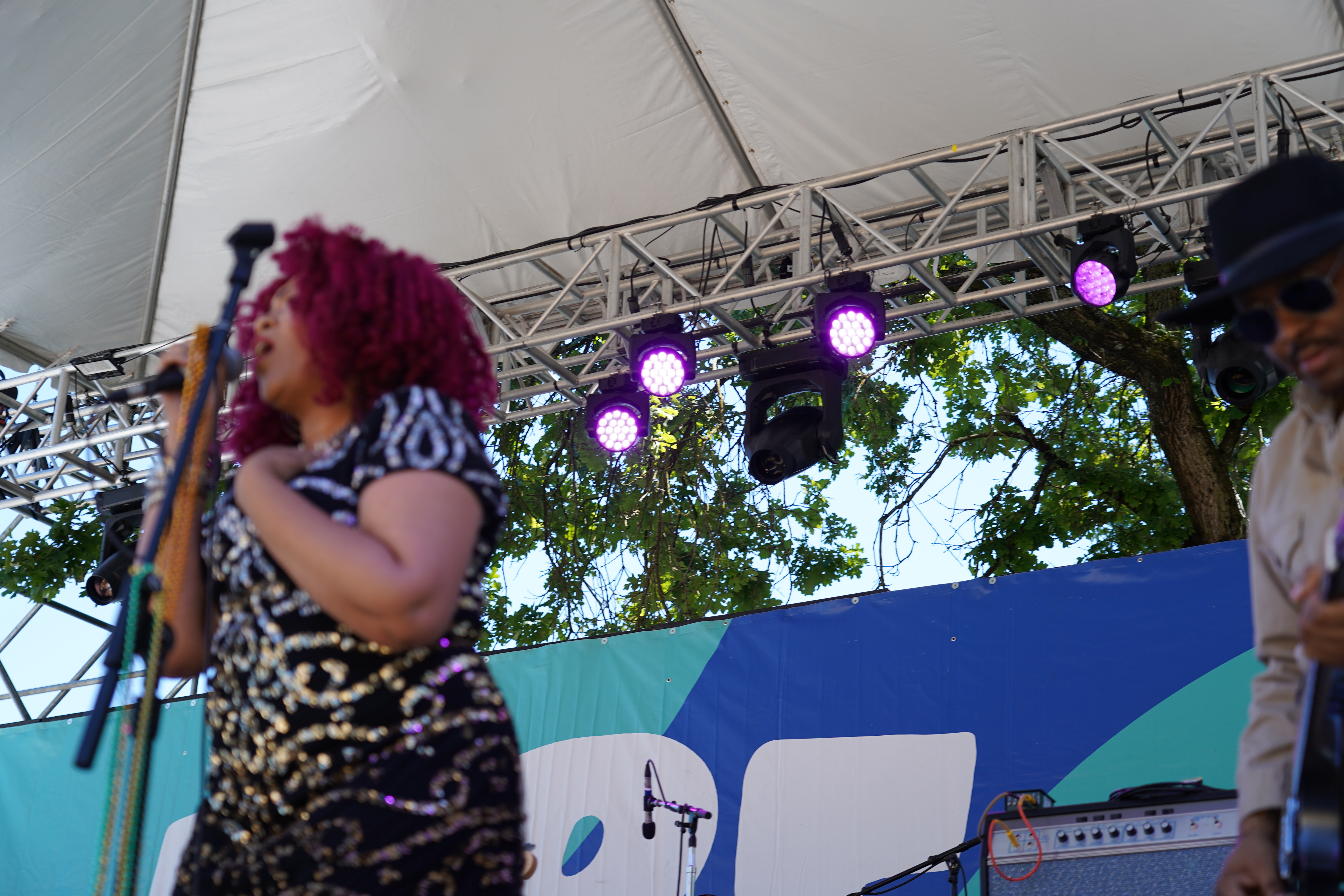GeminiiDRAGON — Waterfront Blues Festival 2024