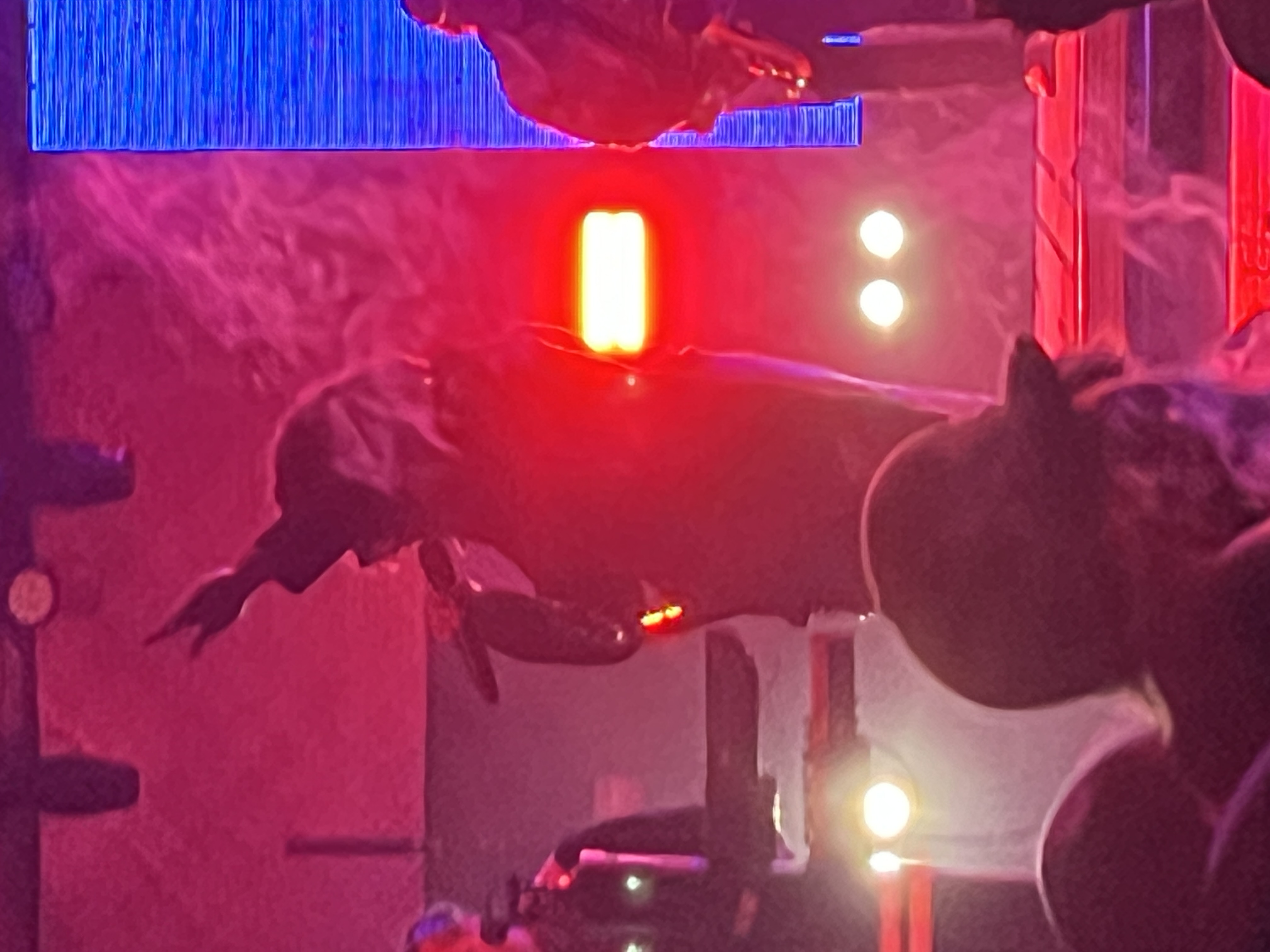 Tribal Seeds — Rise & Vibes Festival 2024