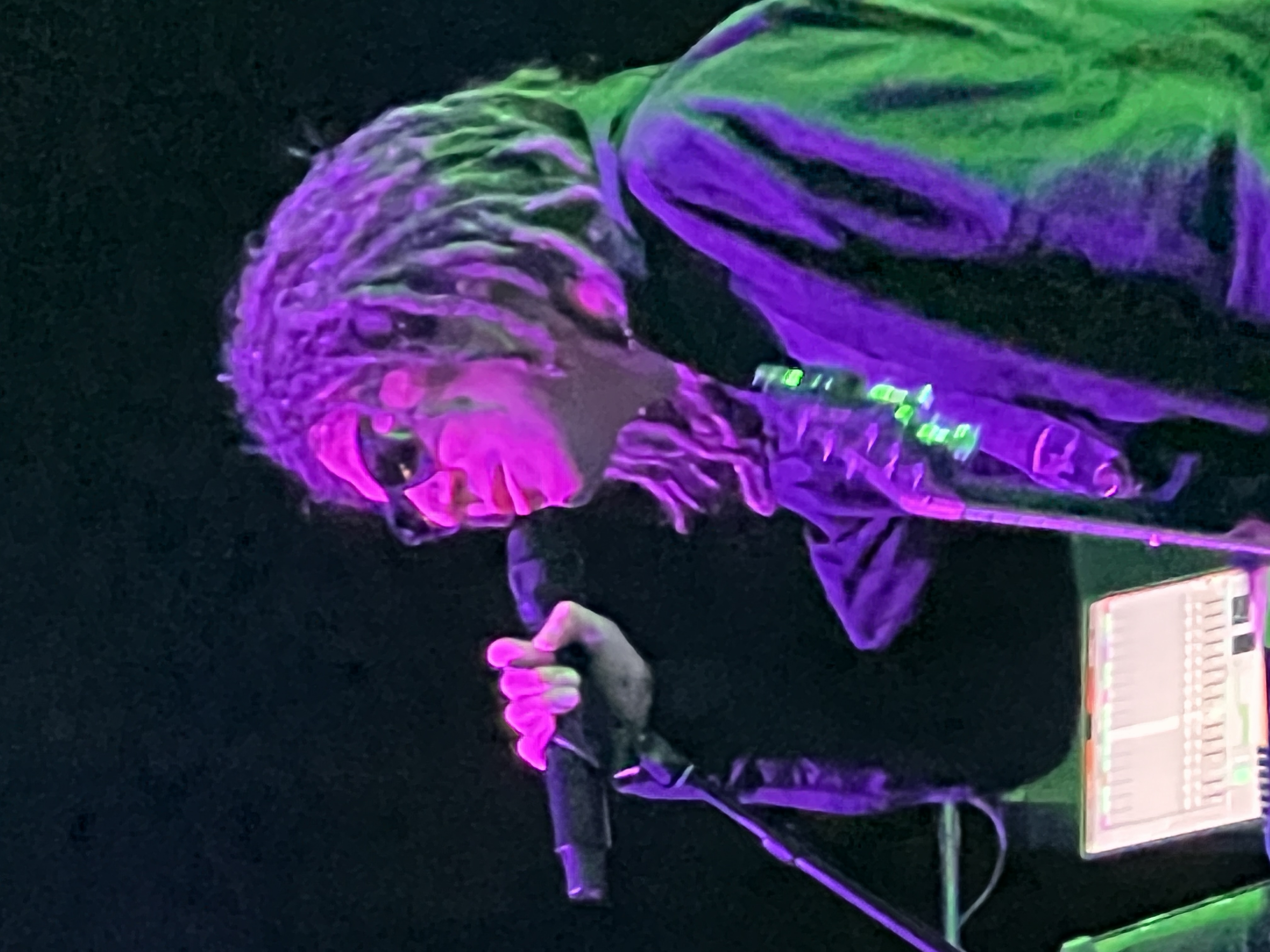 Tribal Seeds — Rise & Vibes Festival 2024