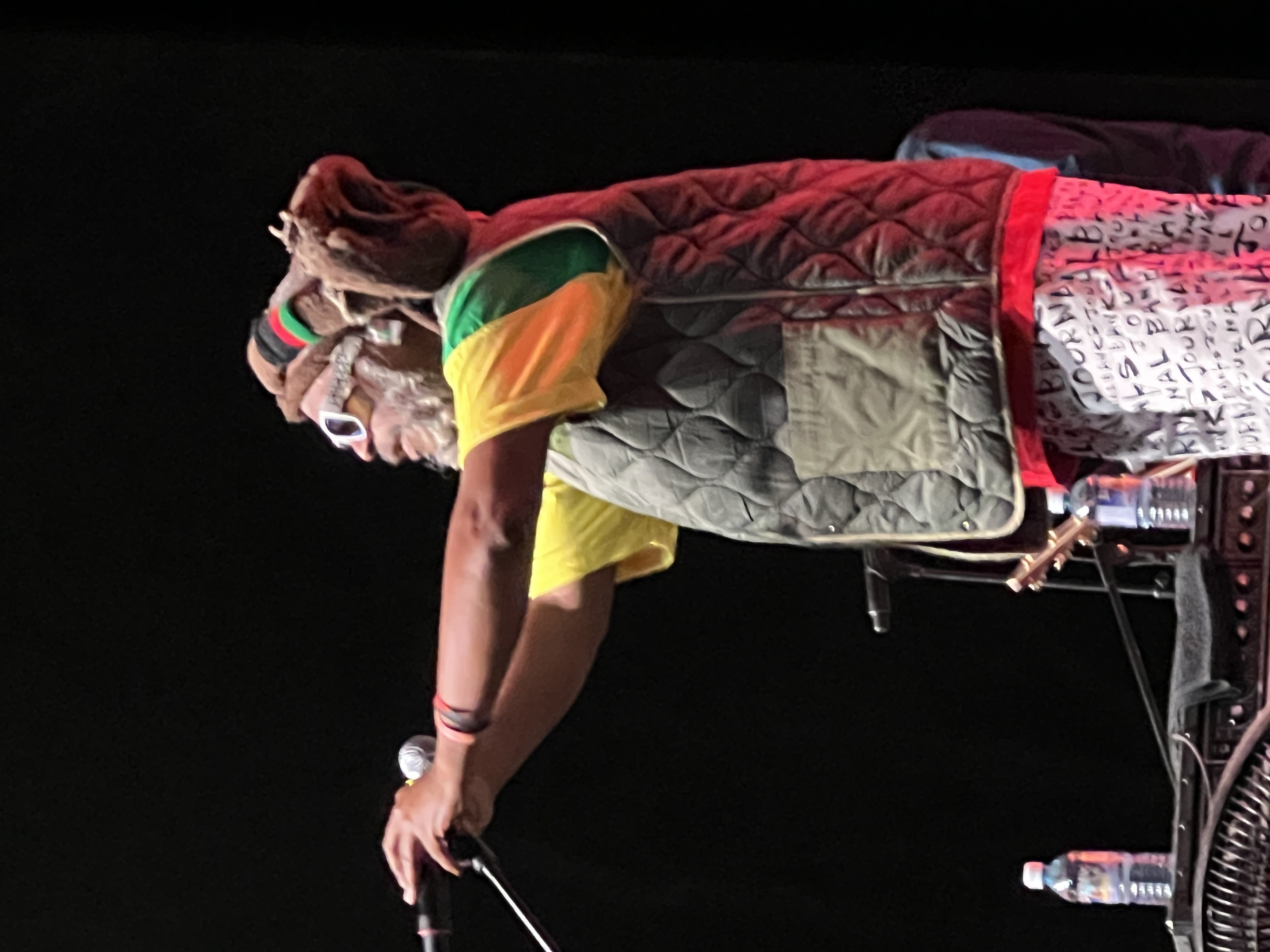 Steel Pulse — Rise & Vibes Festival 2024