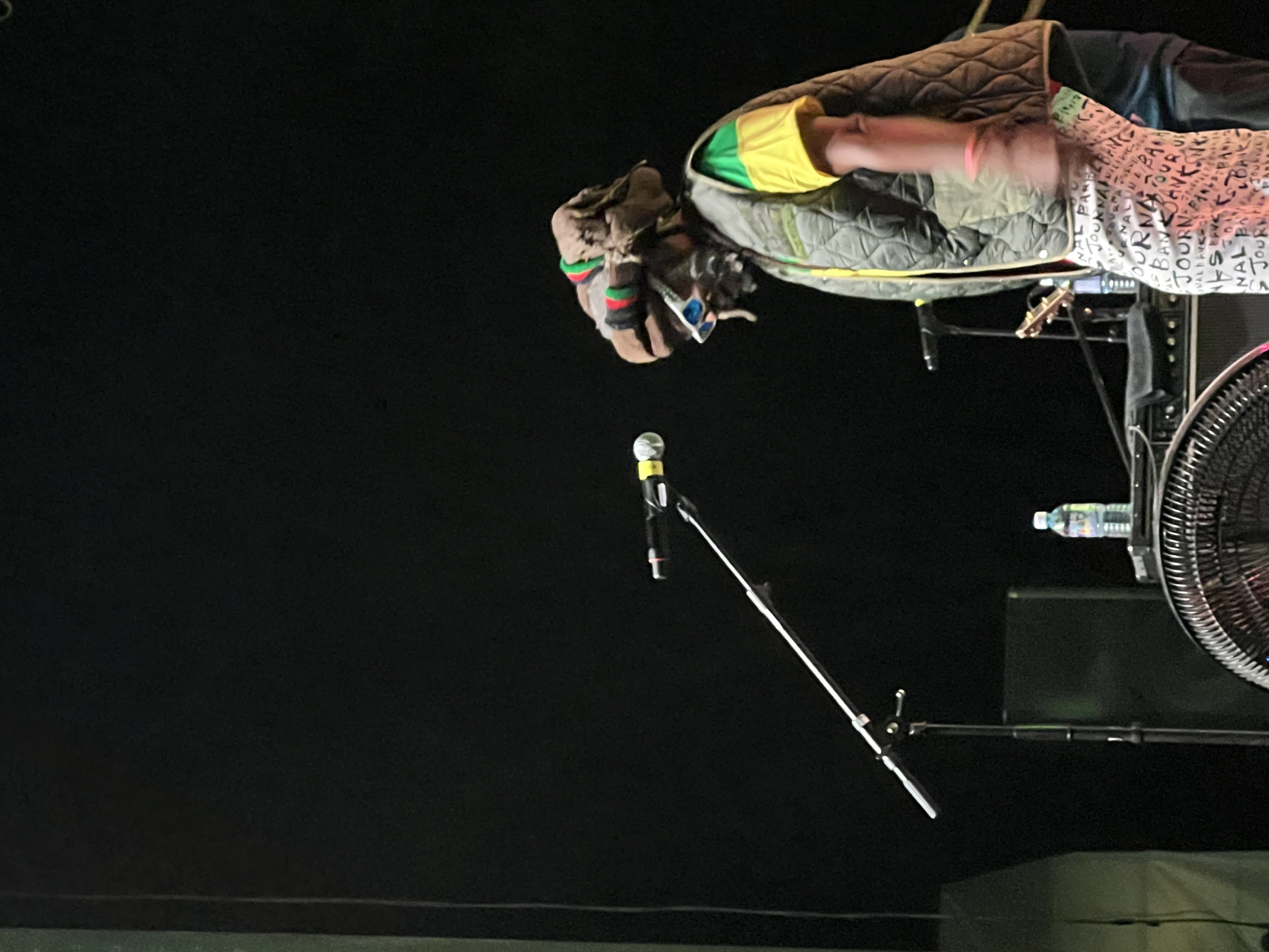 Steel Pulse — Rise & Vibes Festival 2024