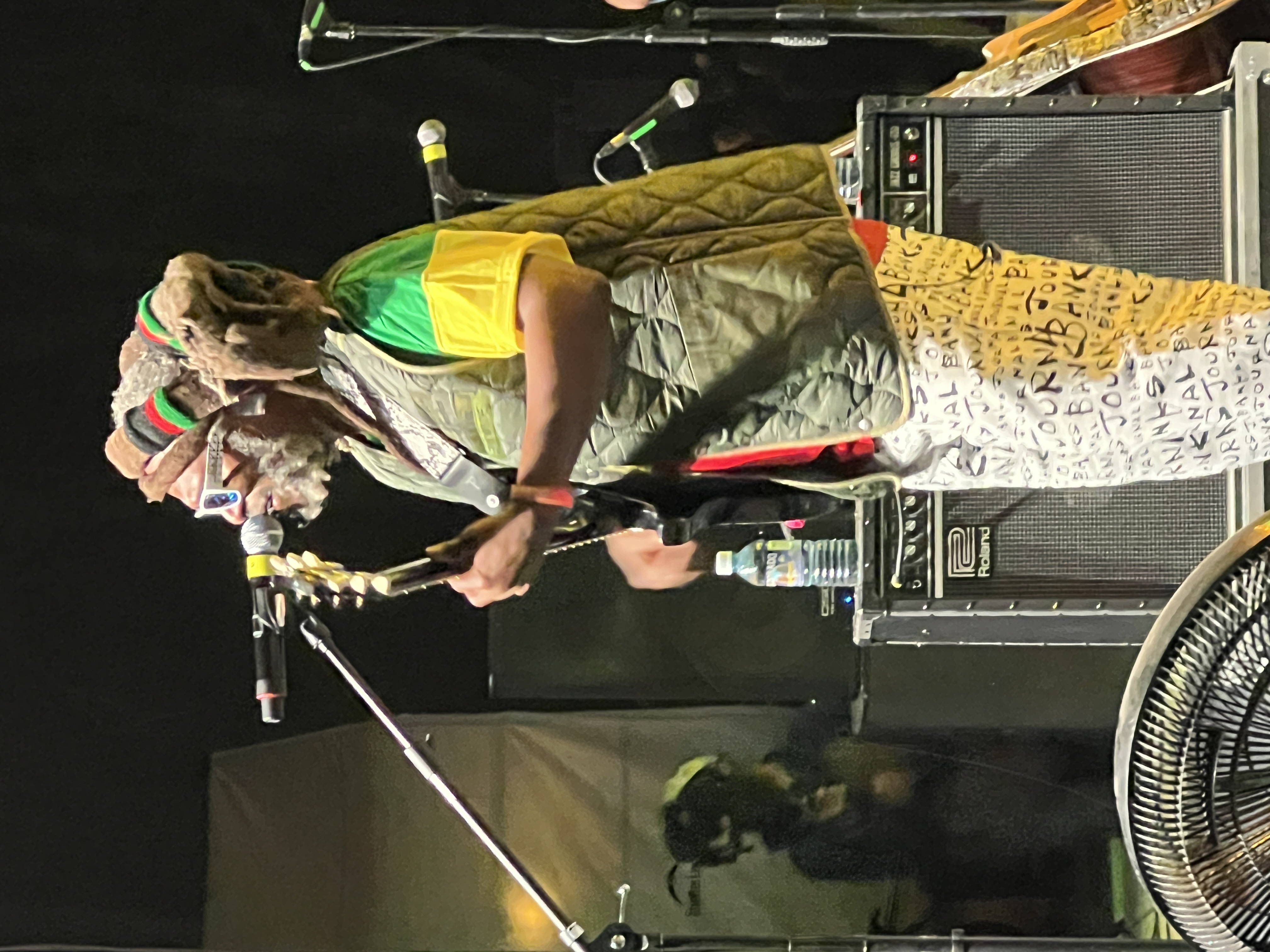 Steel Pulse — Rise & Vibes Festival 2024