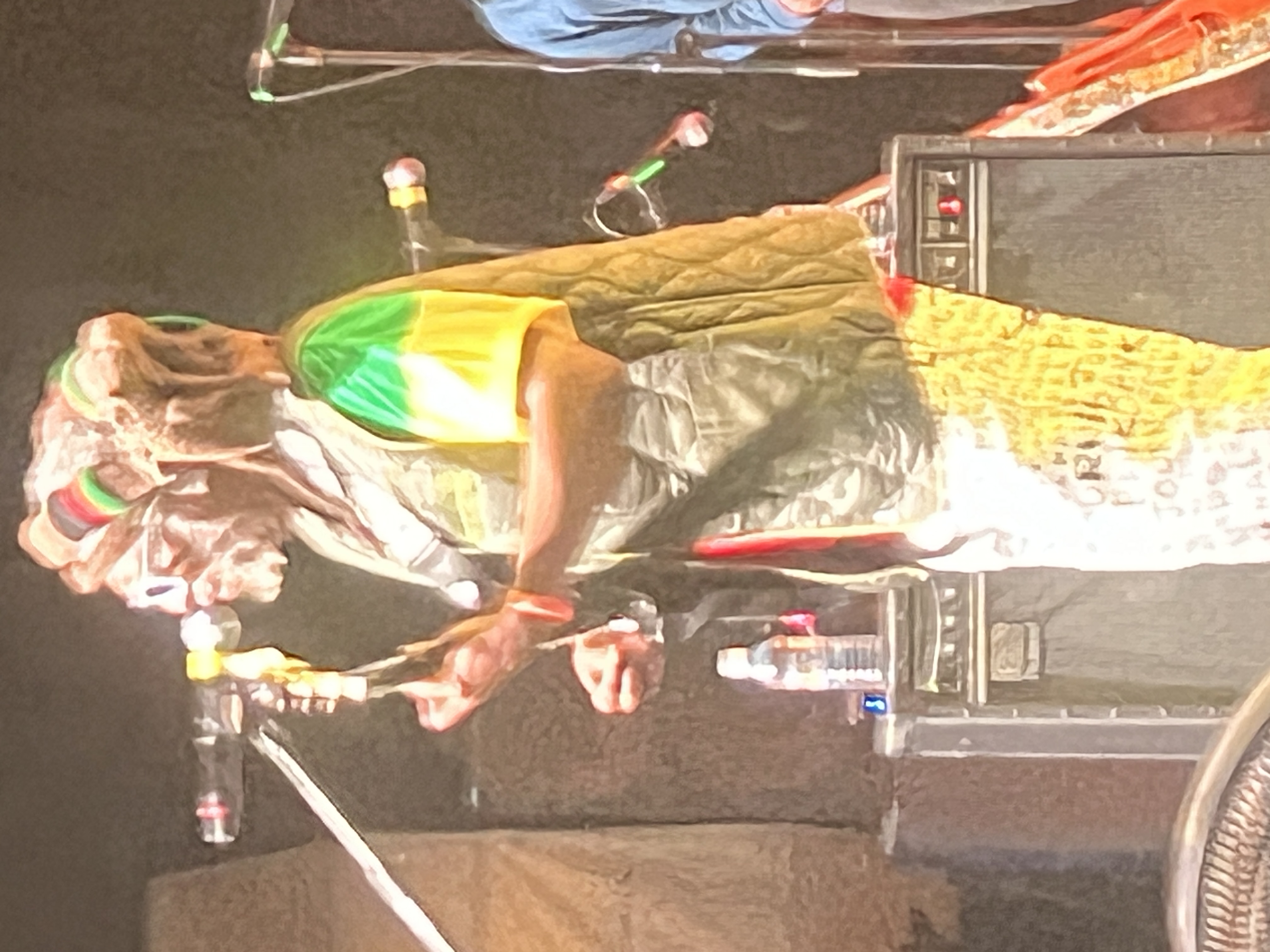 Steel Pulse — Rise & Vibes Festival 2024