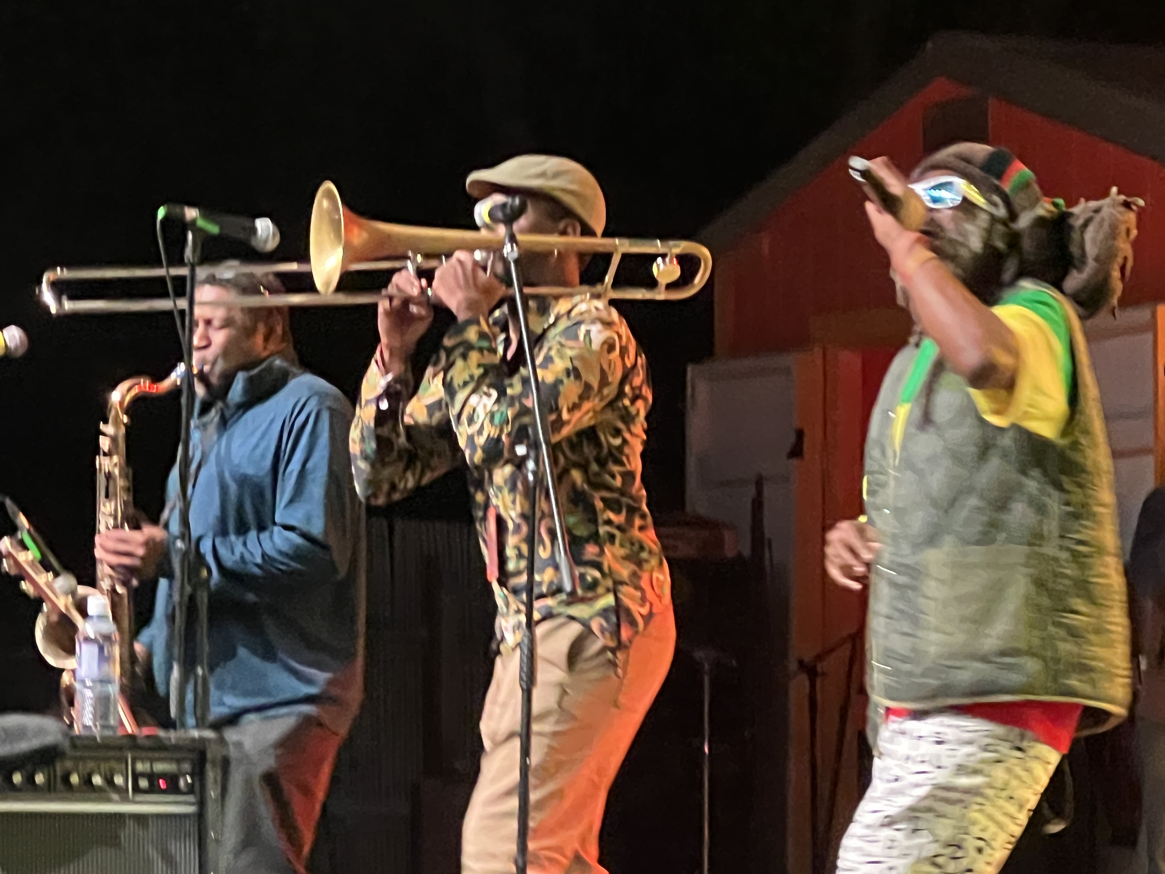 Steel Pulse — Rise & Vibes Festival 2024