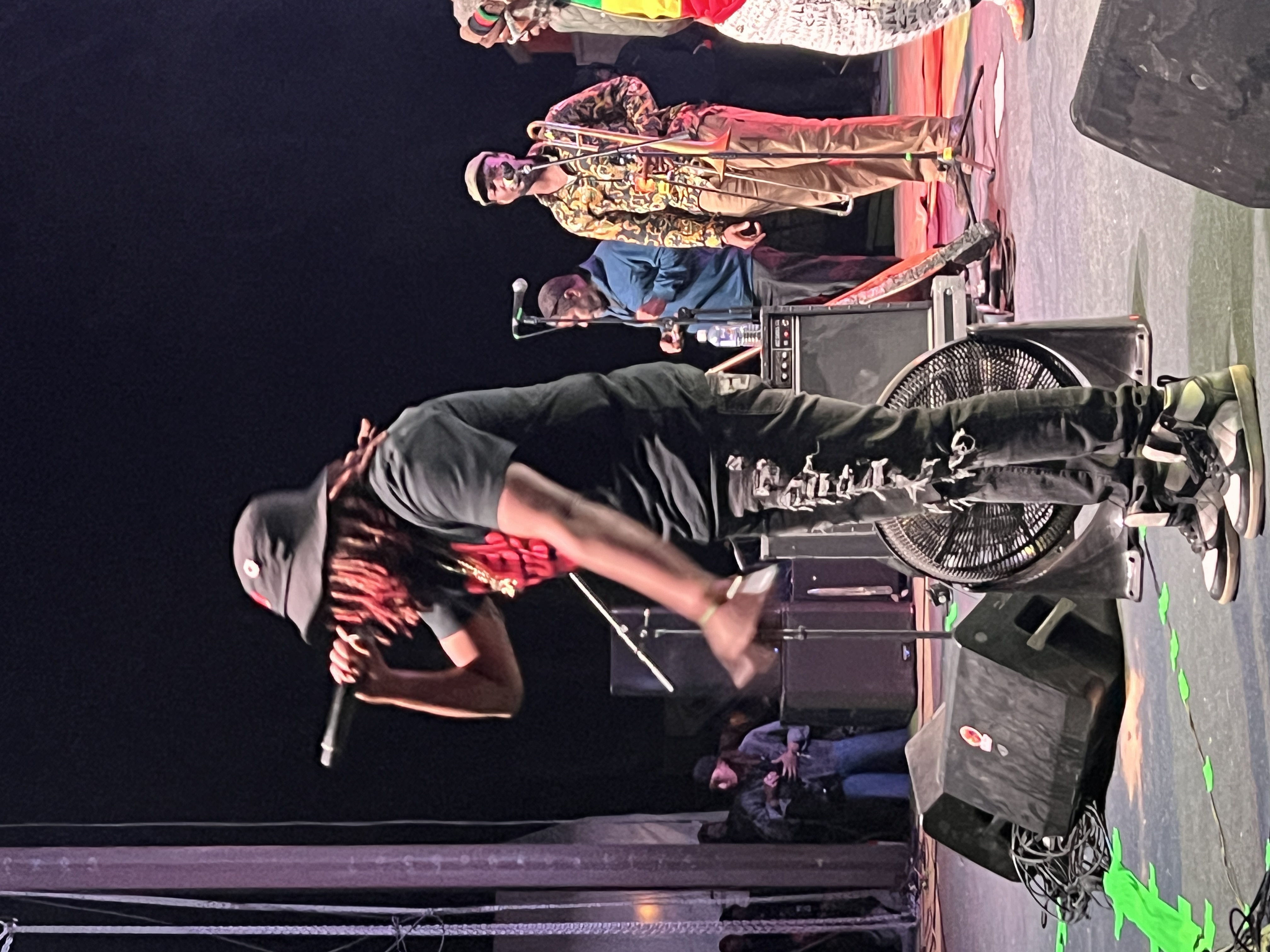 Steel Pulse — Rise & Vibes Festival 2024