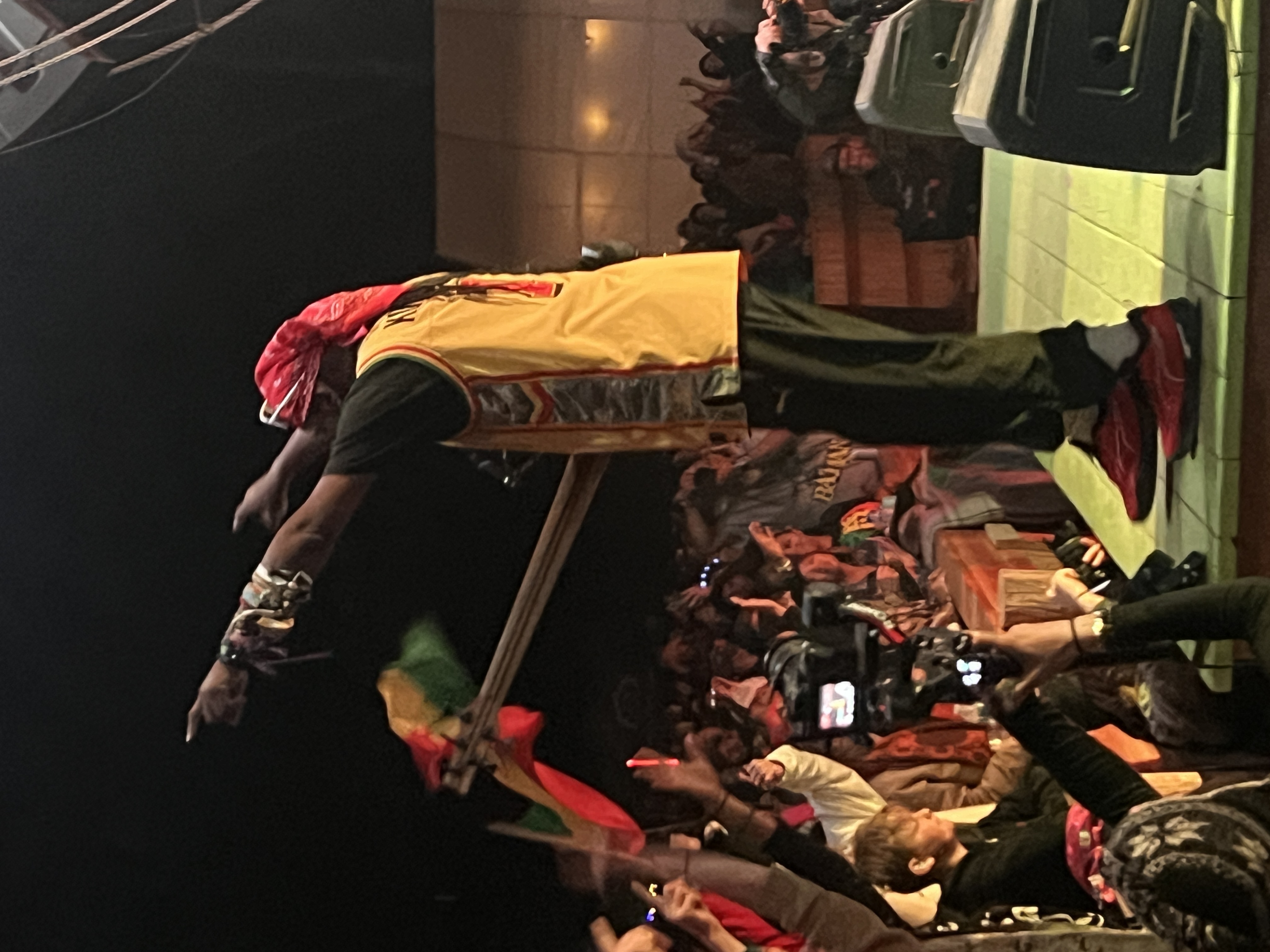 Steel Pulse — Rise & Vibes Festival 2024