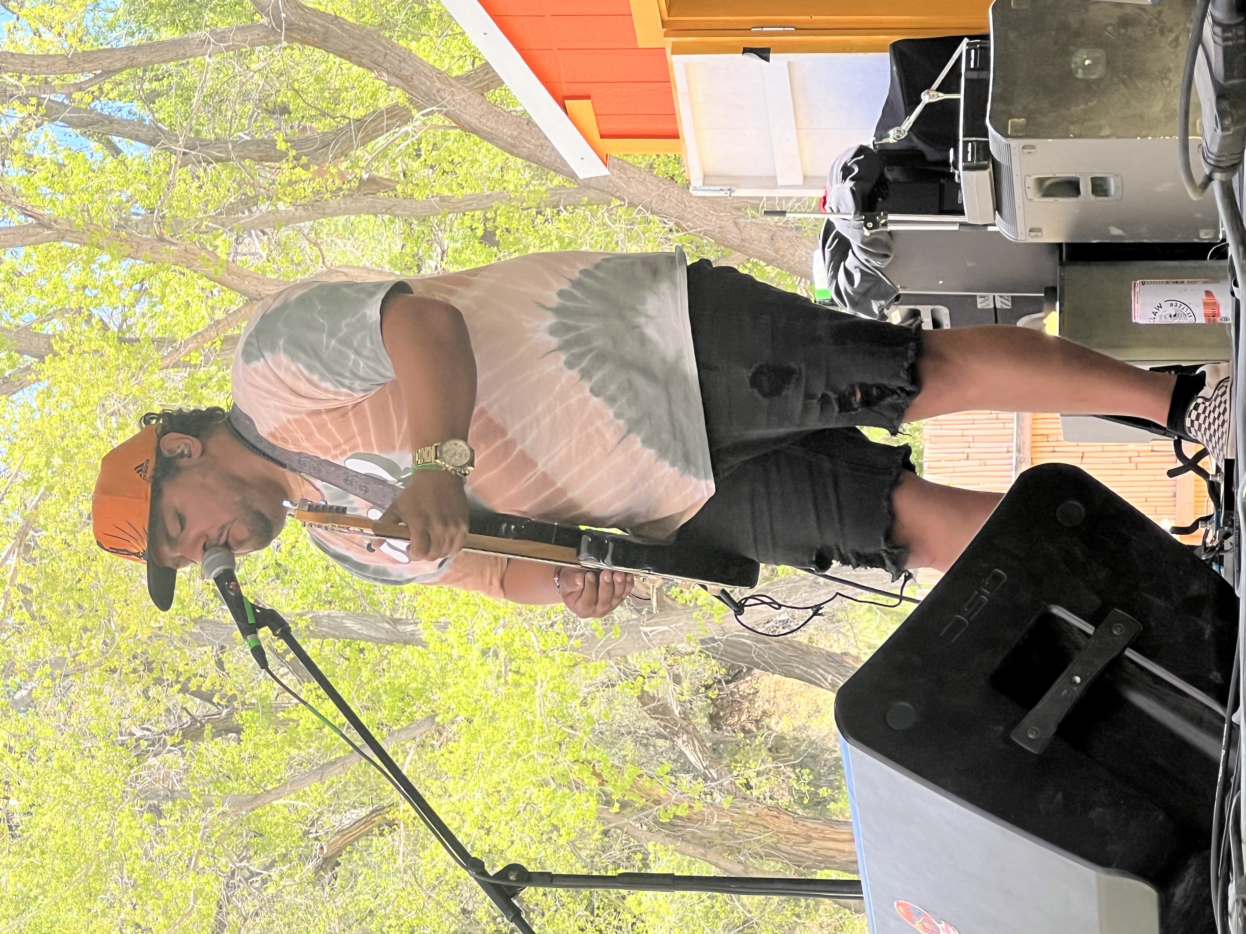 The Irie — Rise & Vibes Festival 2024