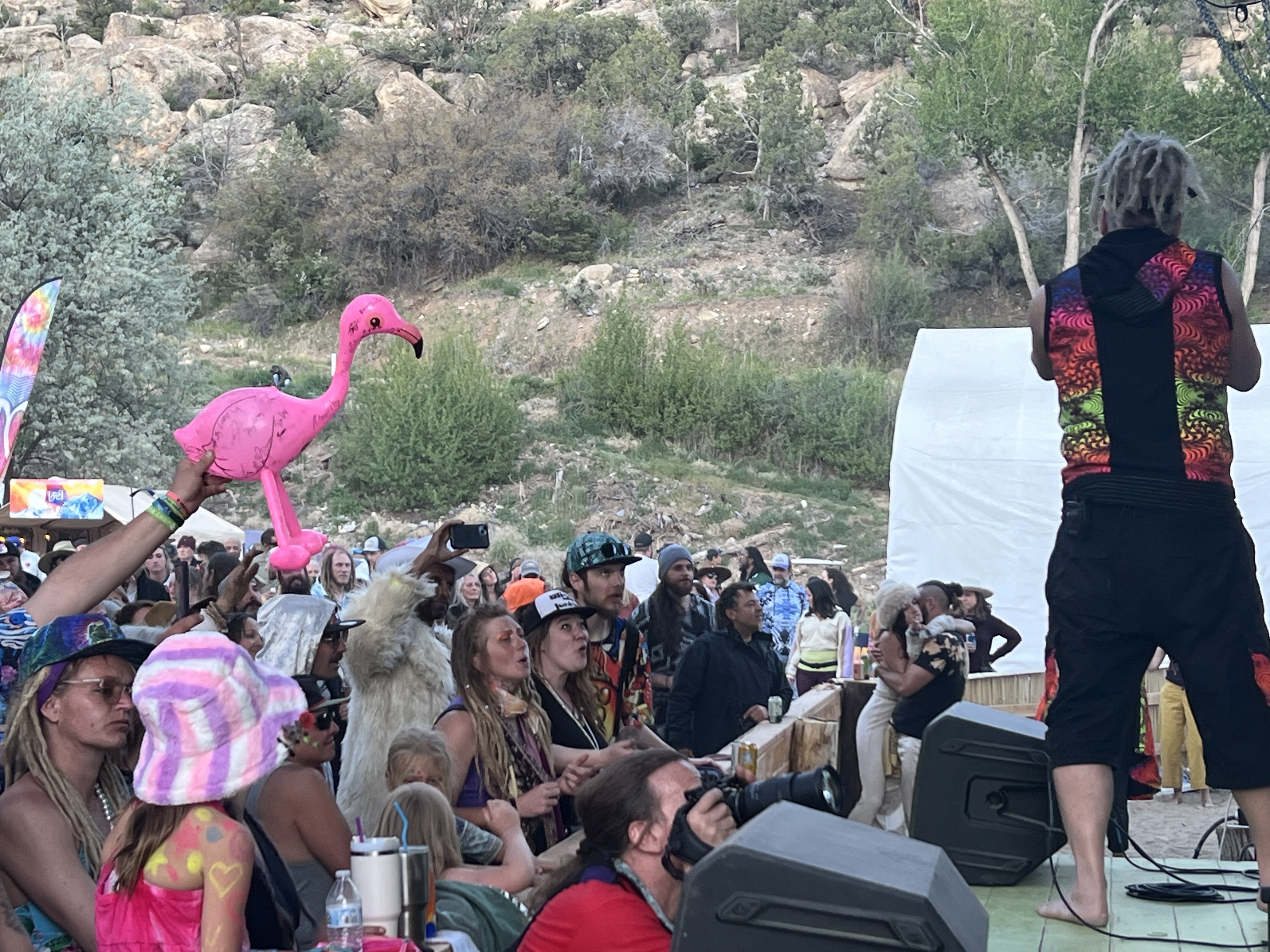 Wookiefoot — Rise & Vibes Festival 2024