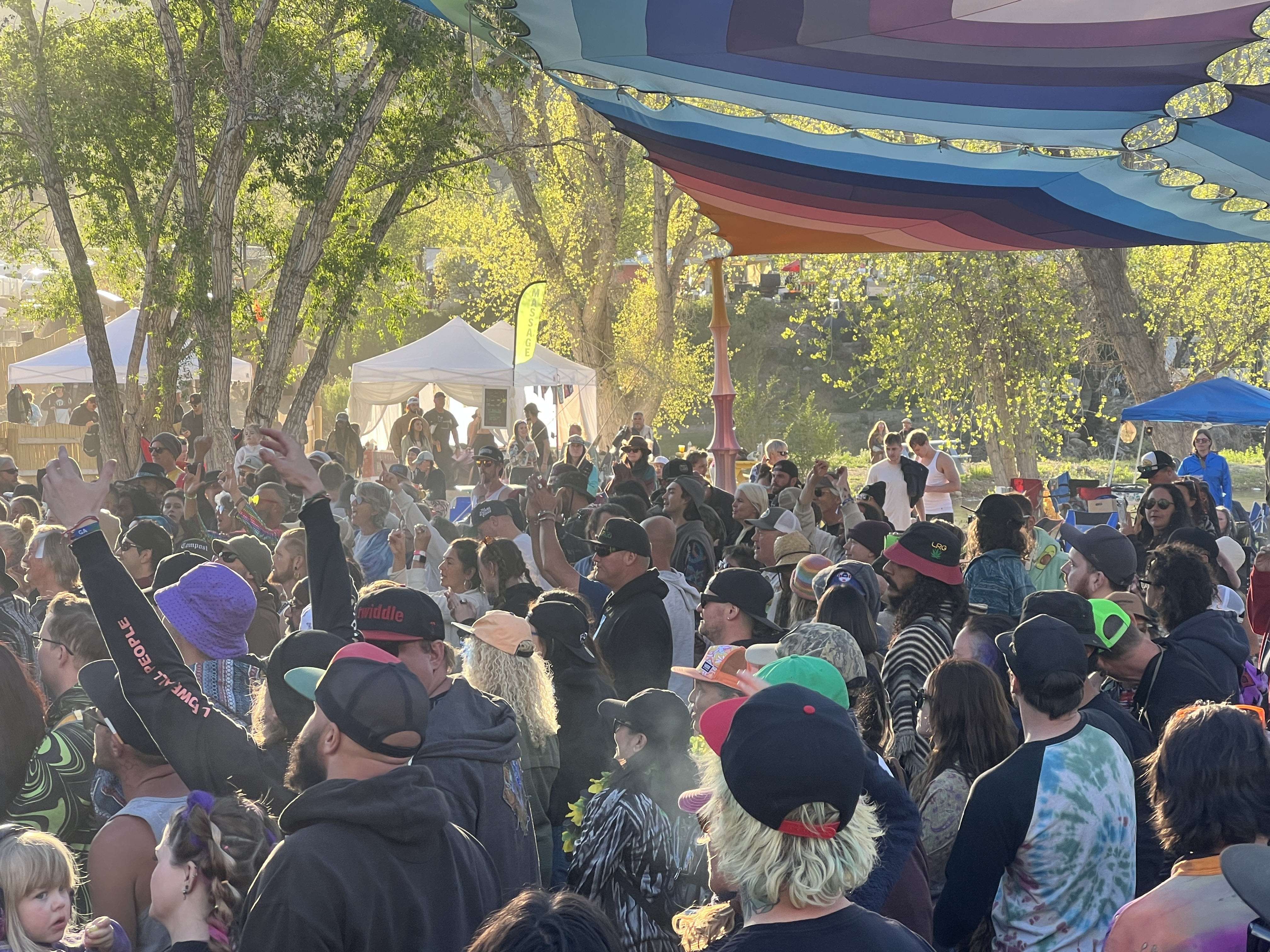 Festival — Rise & Vibes Festival 2024