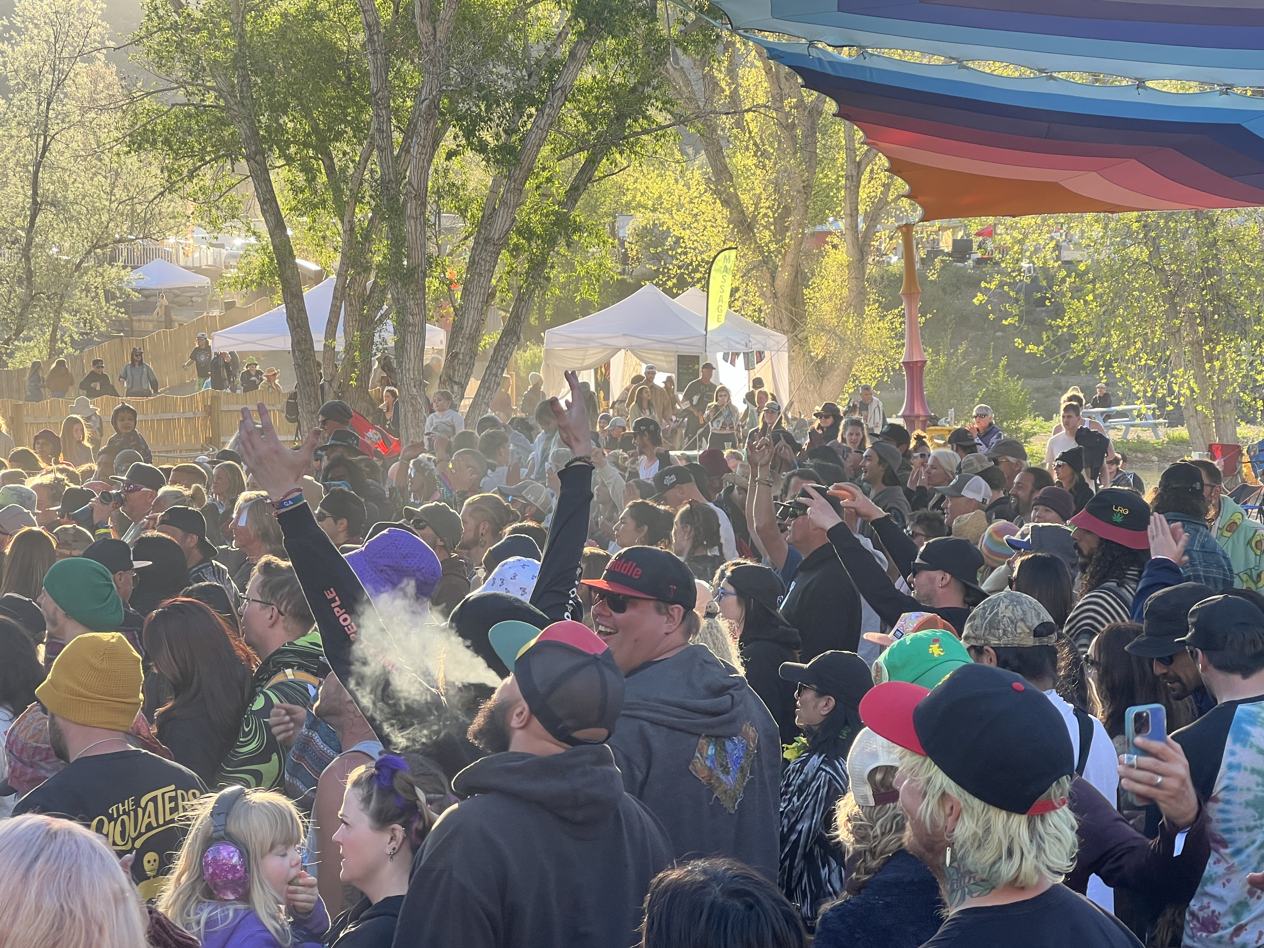 Festival — Rise & Vibes Festival 2024