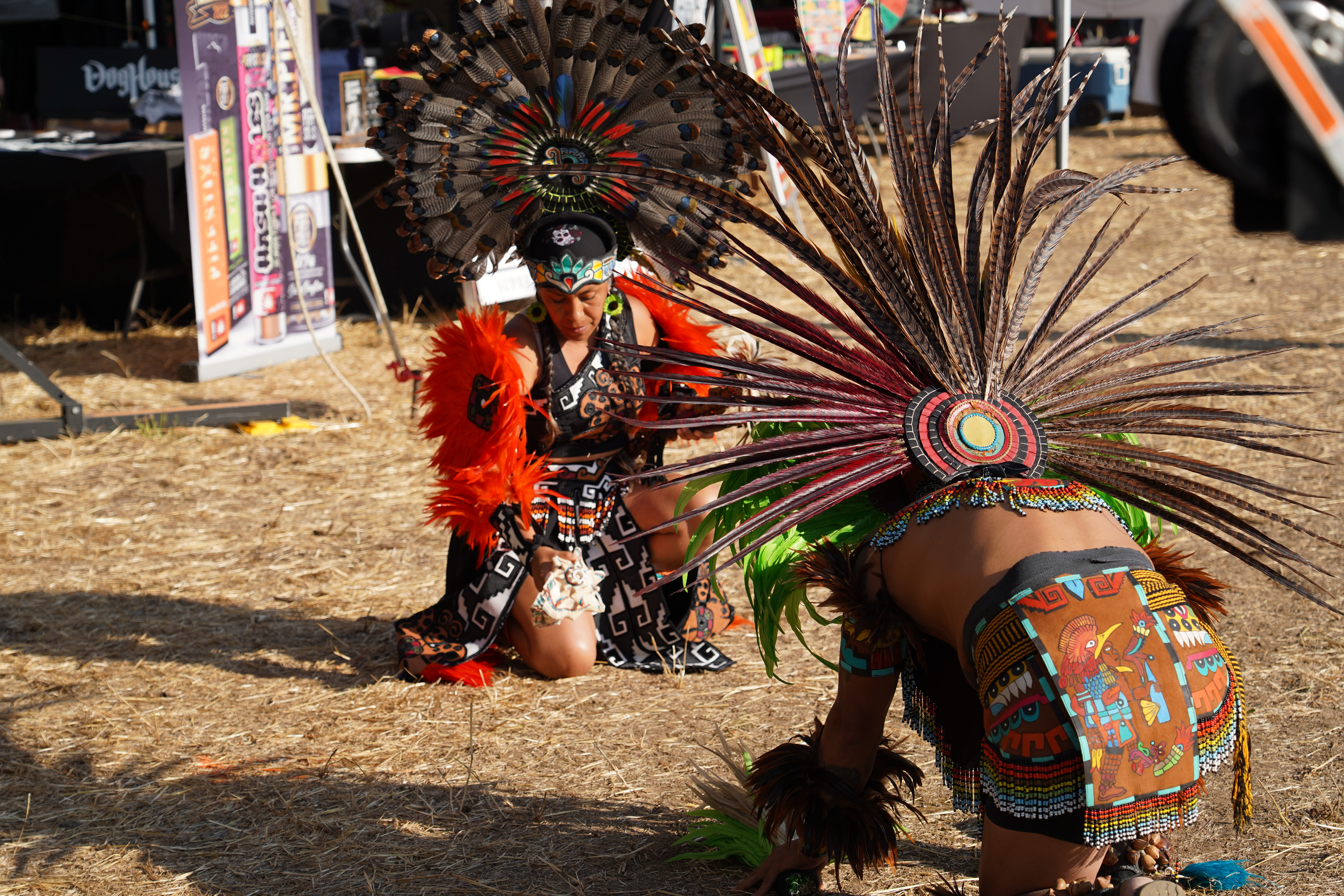 Pedro World Citizen — Oregon Reggae Festival 2024