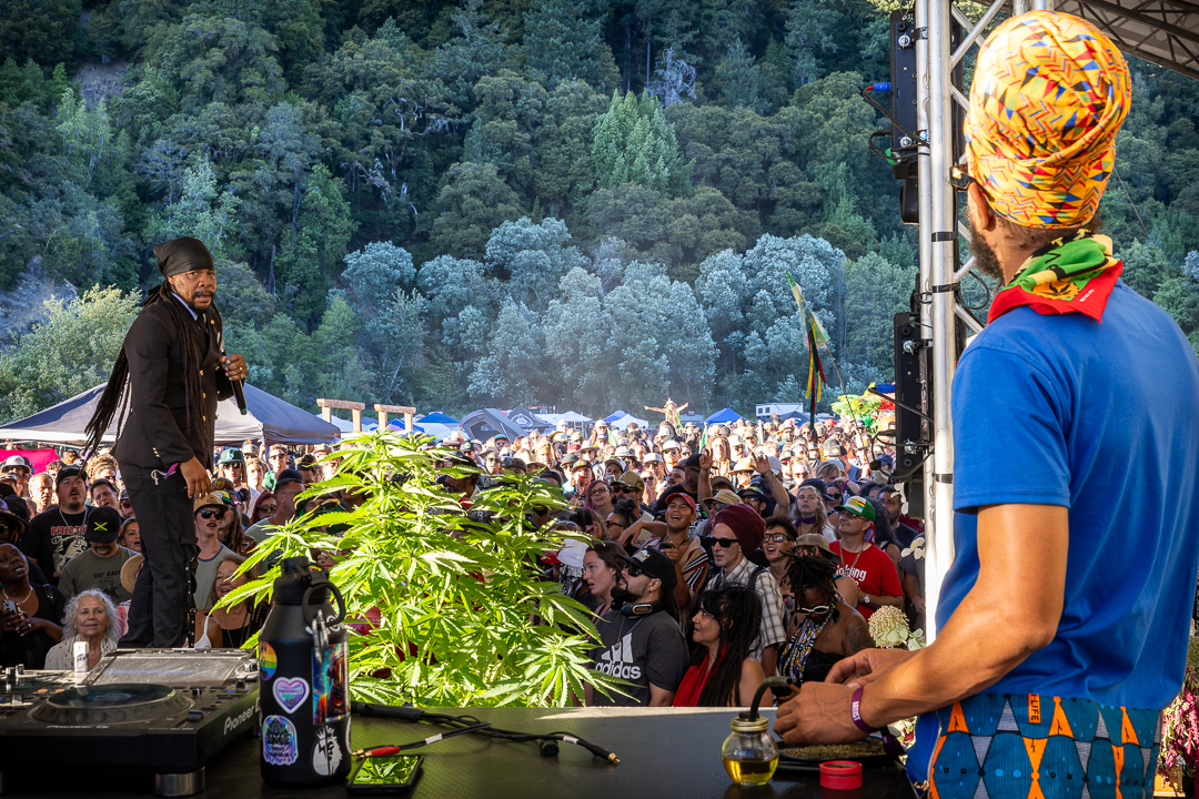 Turbulence — Reggae On The River 2025