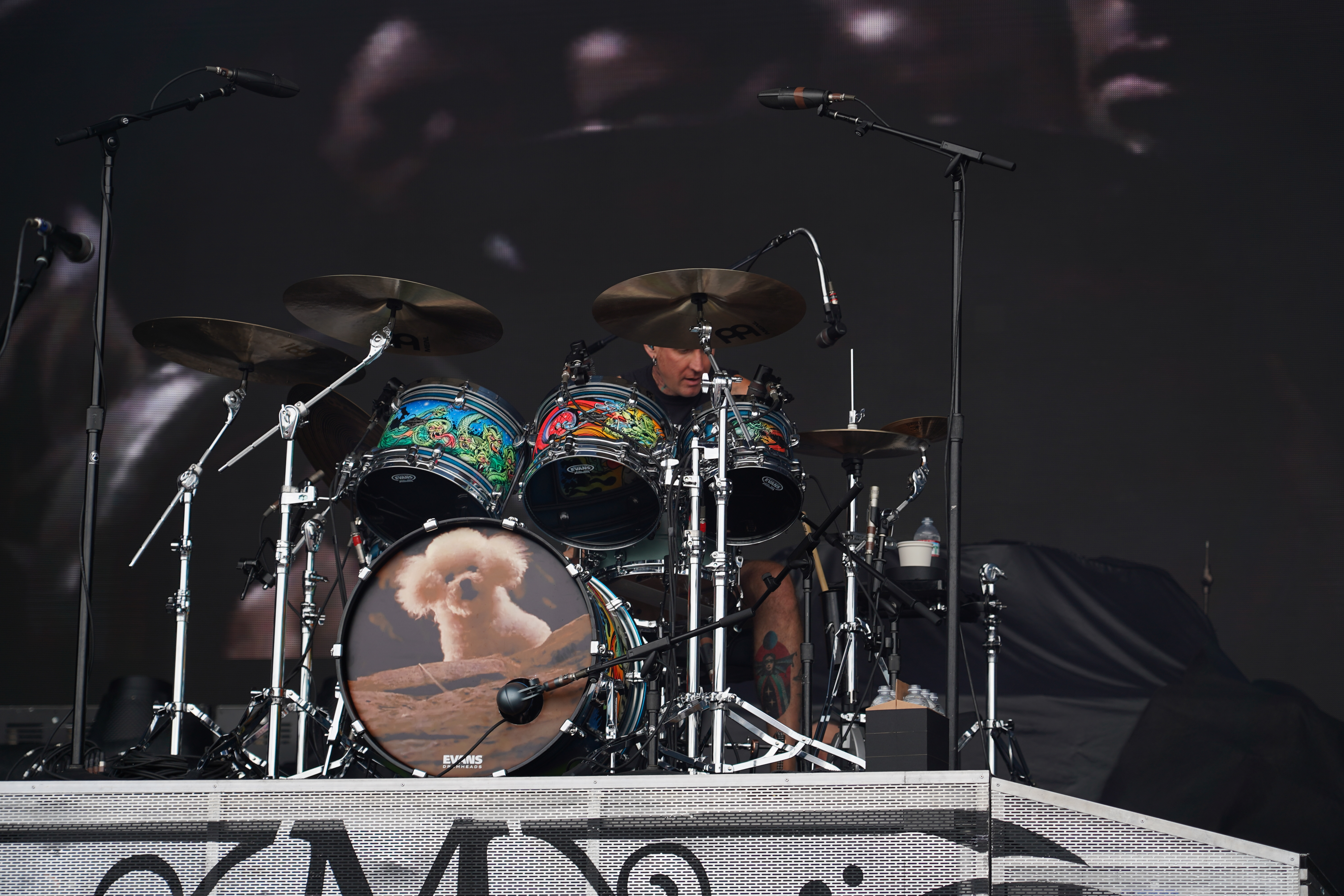 Mastodon photo