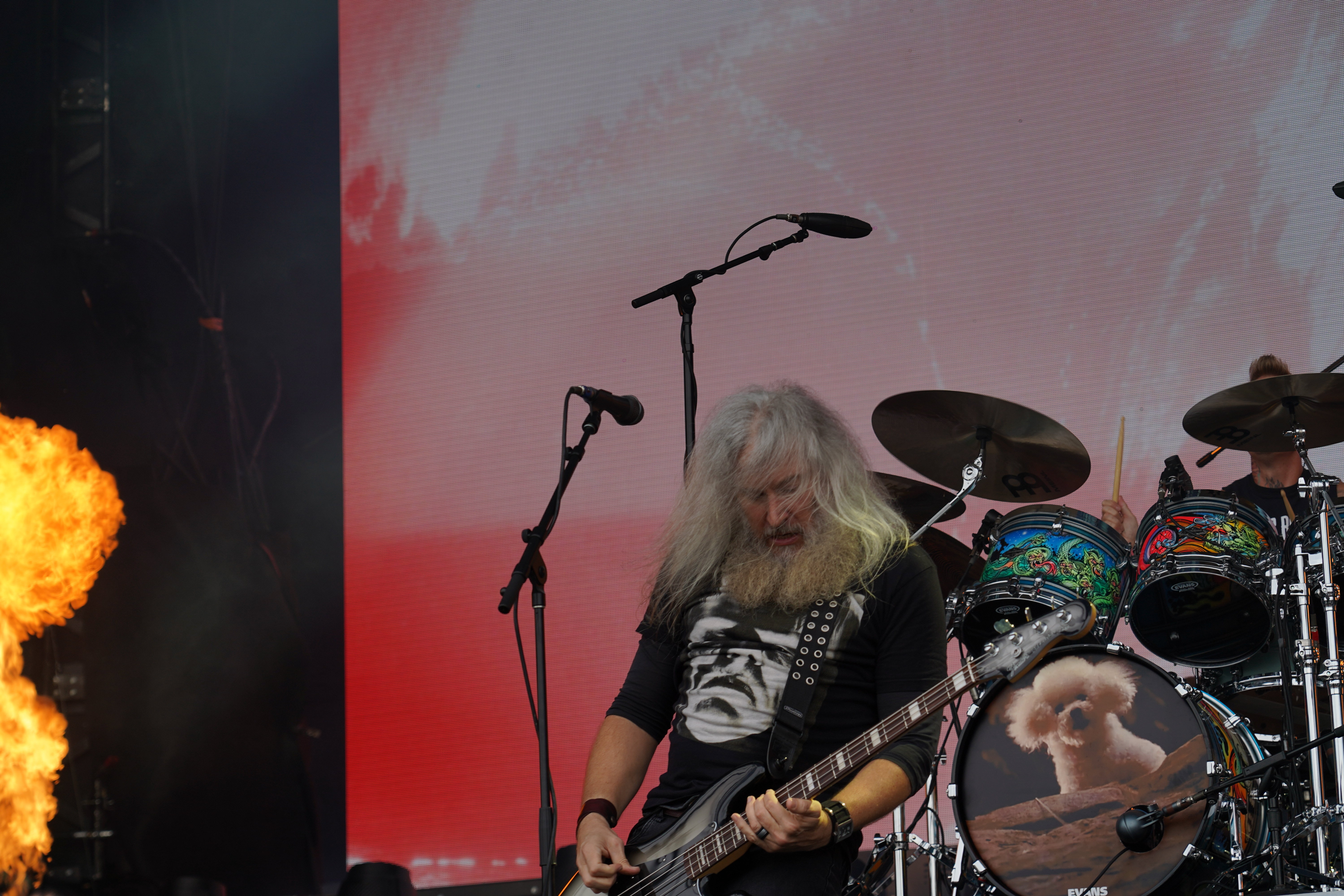 Mastodon