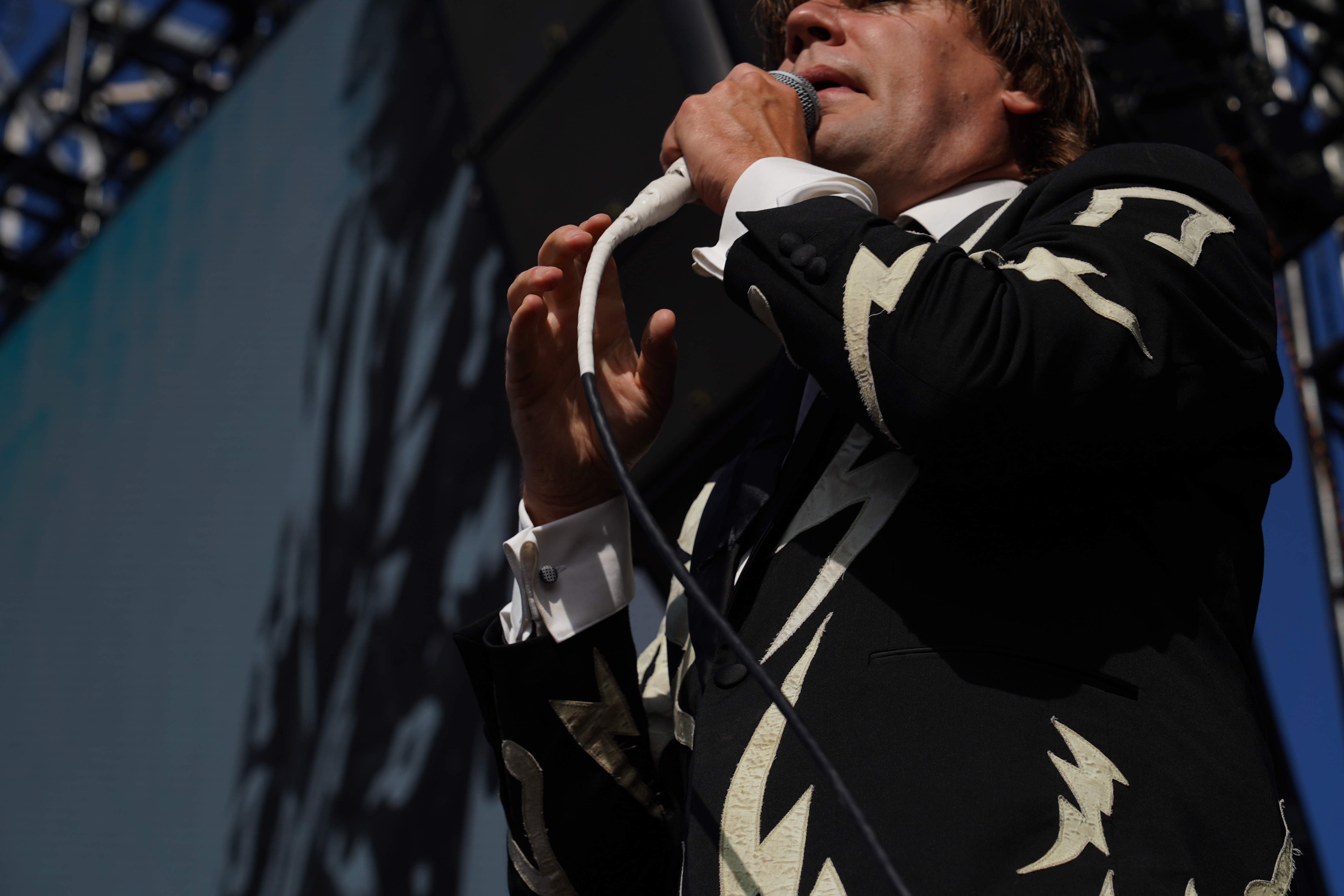 The Hives