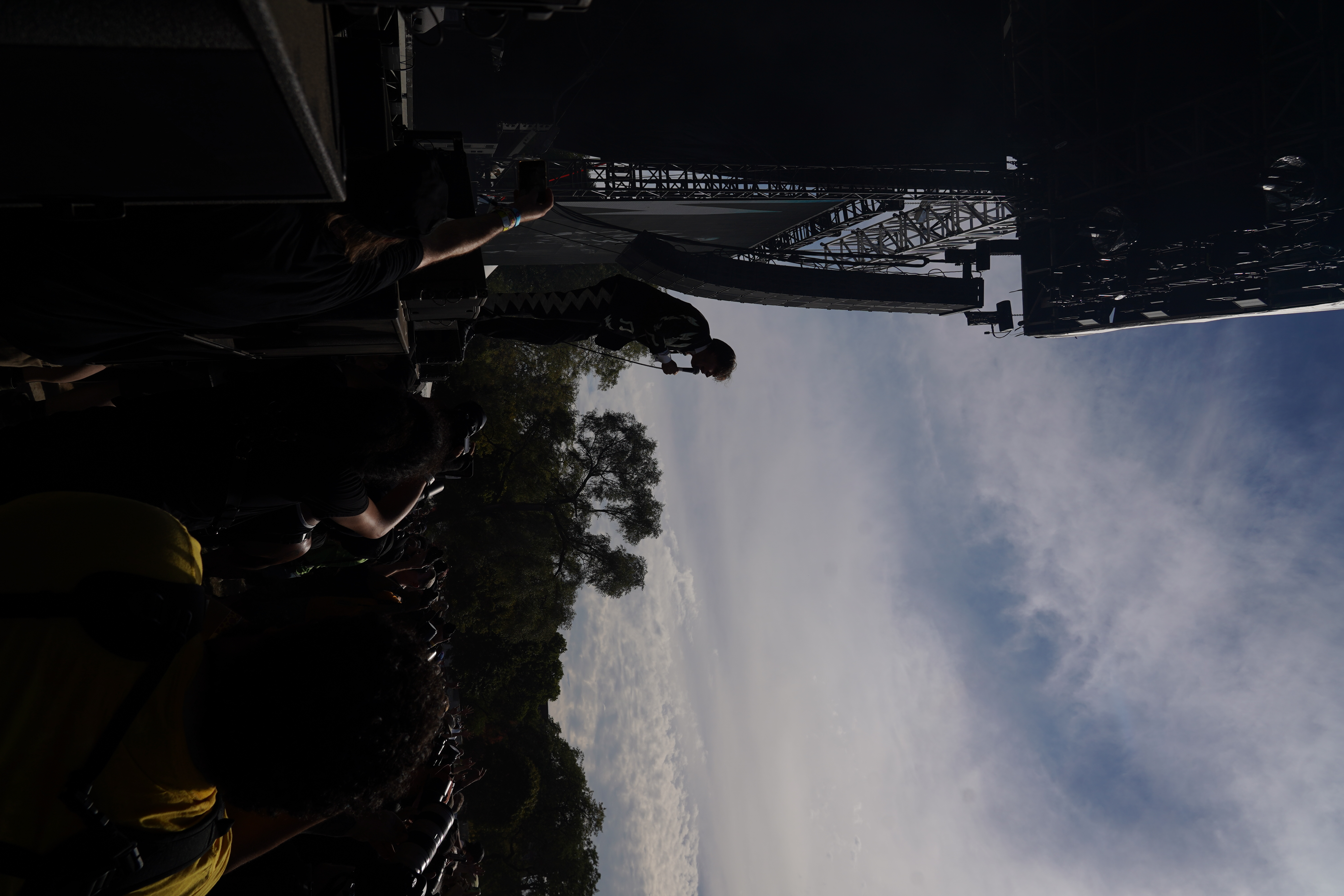 The Hives